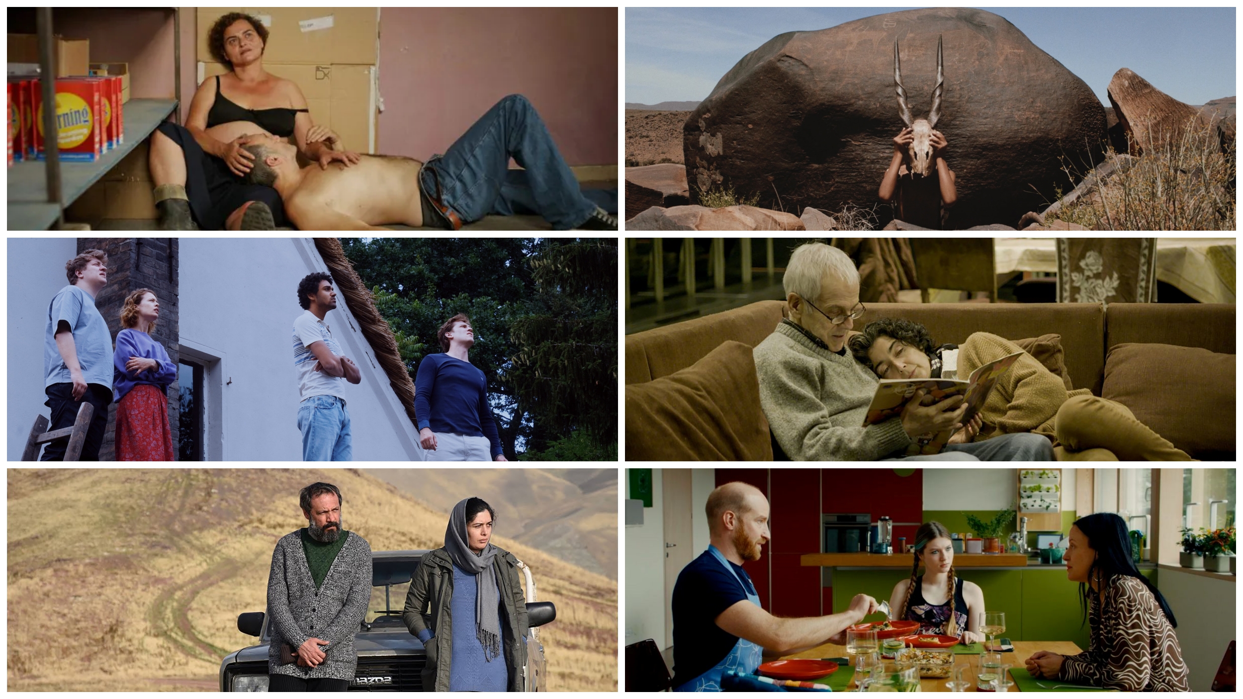 Crveno nebo, Kos kos kupina, Zlo ne postoji, Nula kalorija, Neizbrisiva sećanja, Aitca, kombo, filmovi