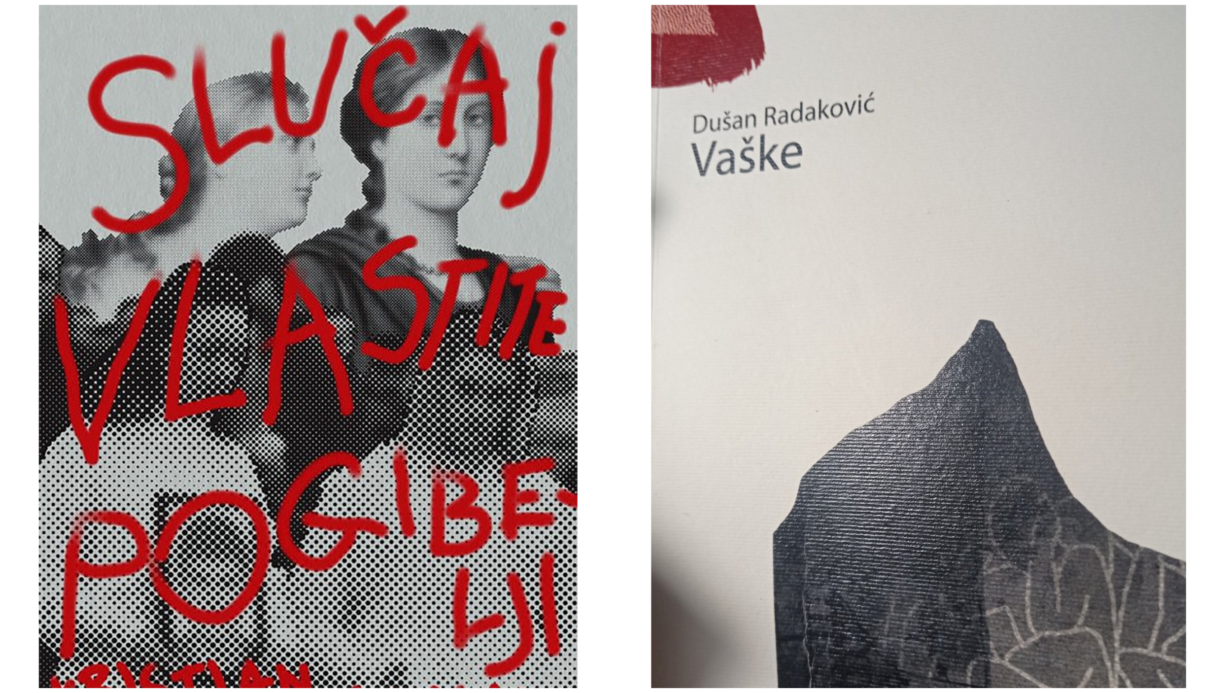 Slučaj vlastite pogibelji  dusan radakovic vaske