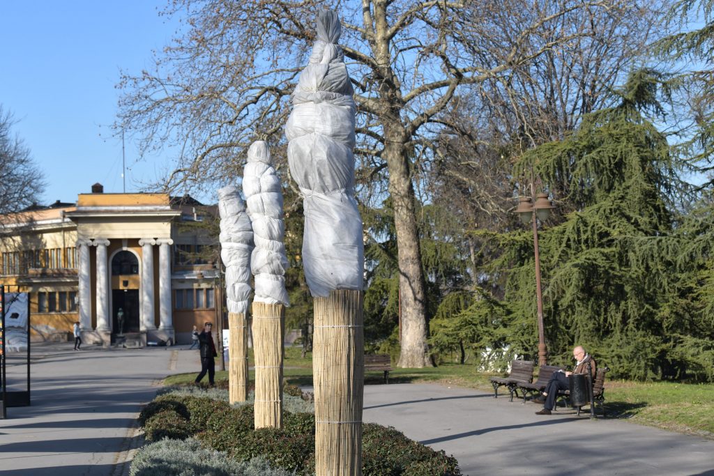 Beograd 11.02.2022. Palme na Kalemegdanu, palme, drveće, Kalemegdan, Paviljon Cvijeta Zuzorić Foto: Goran Srdanov/Nova.rs