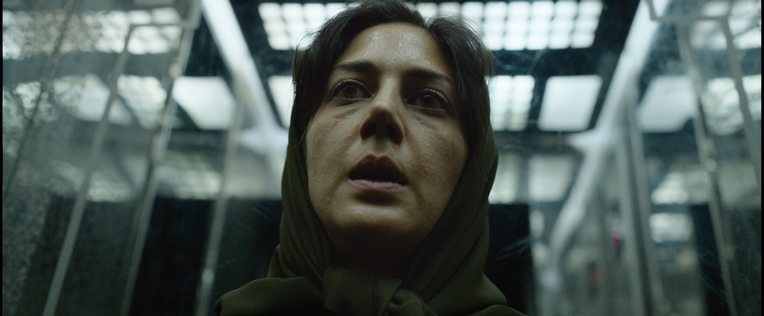 12. GoetheFEST u Beogradu, Novom Sadu i Nišu