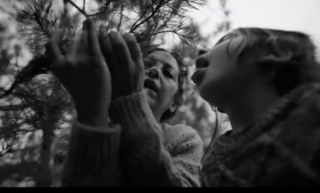 film Green Border, Agnieszka Holland