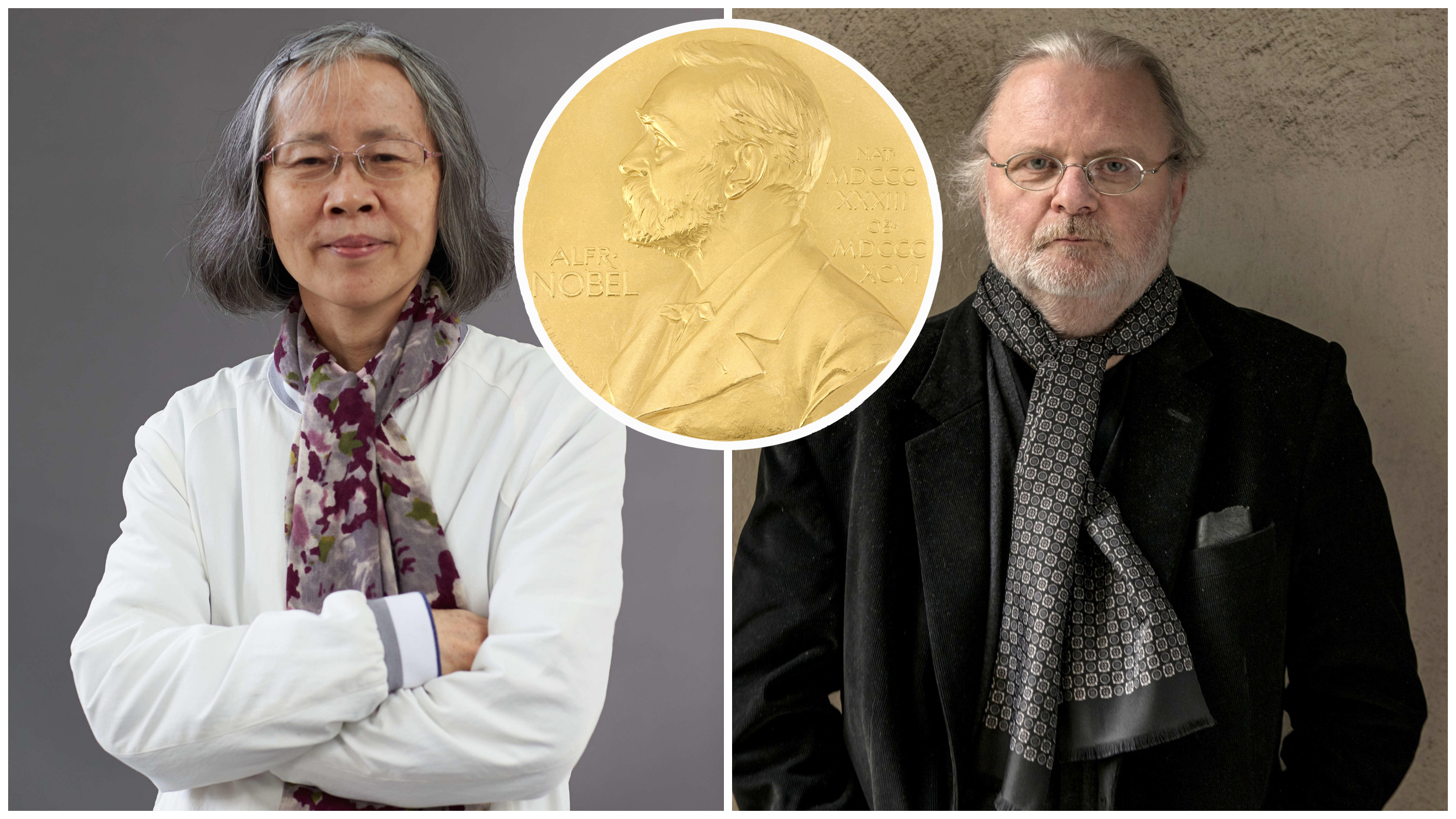 collage addagd copy a