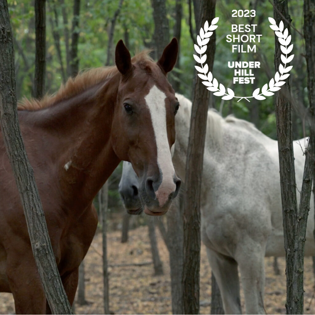 Dokumentarni film „Na kraju puta“ Ivane Todorović najbolji na festivalu u Podgorici