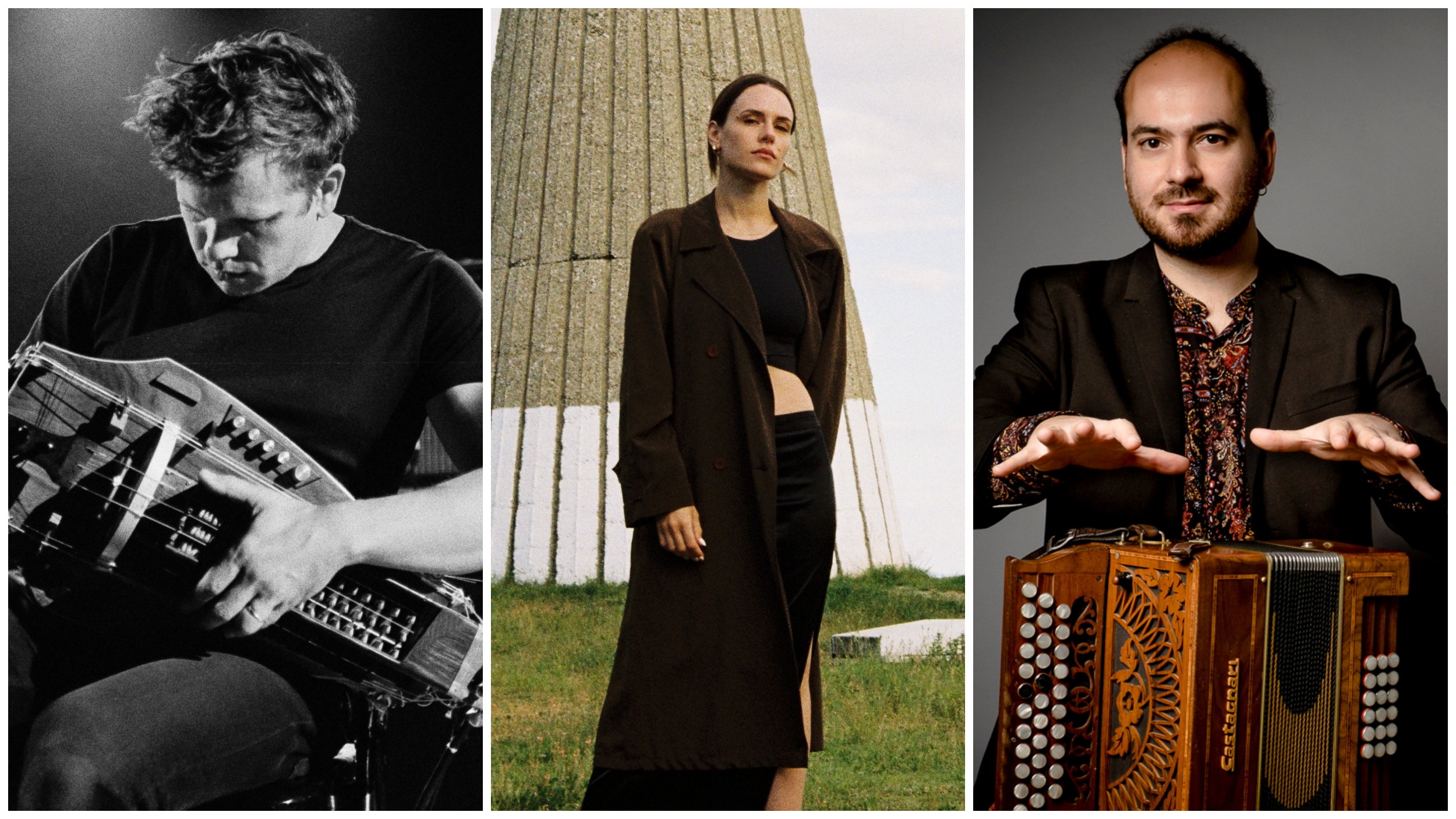 Muzička kolonija Polja