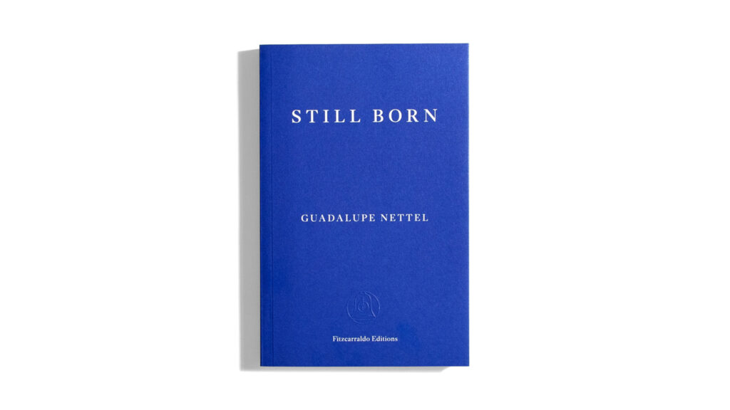 1684767559-Guadalupe-Nettel-Still-Born-1024x576.jpg