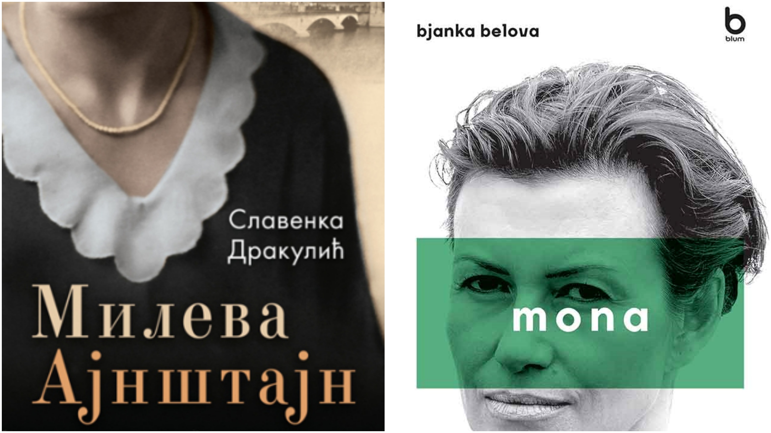 mileva ajnstajn mona knjige kombo