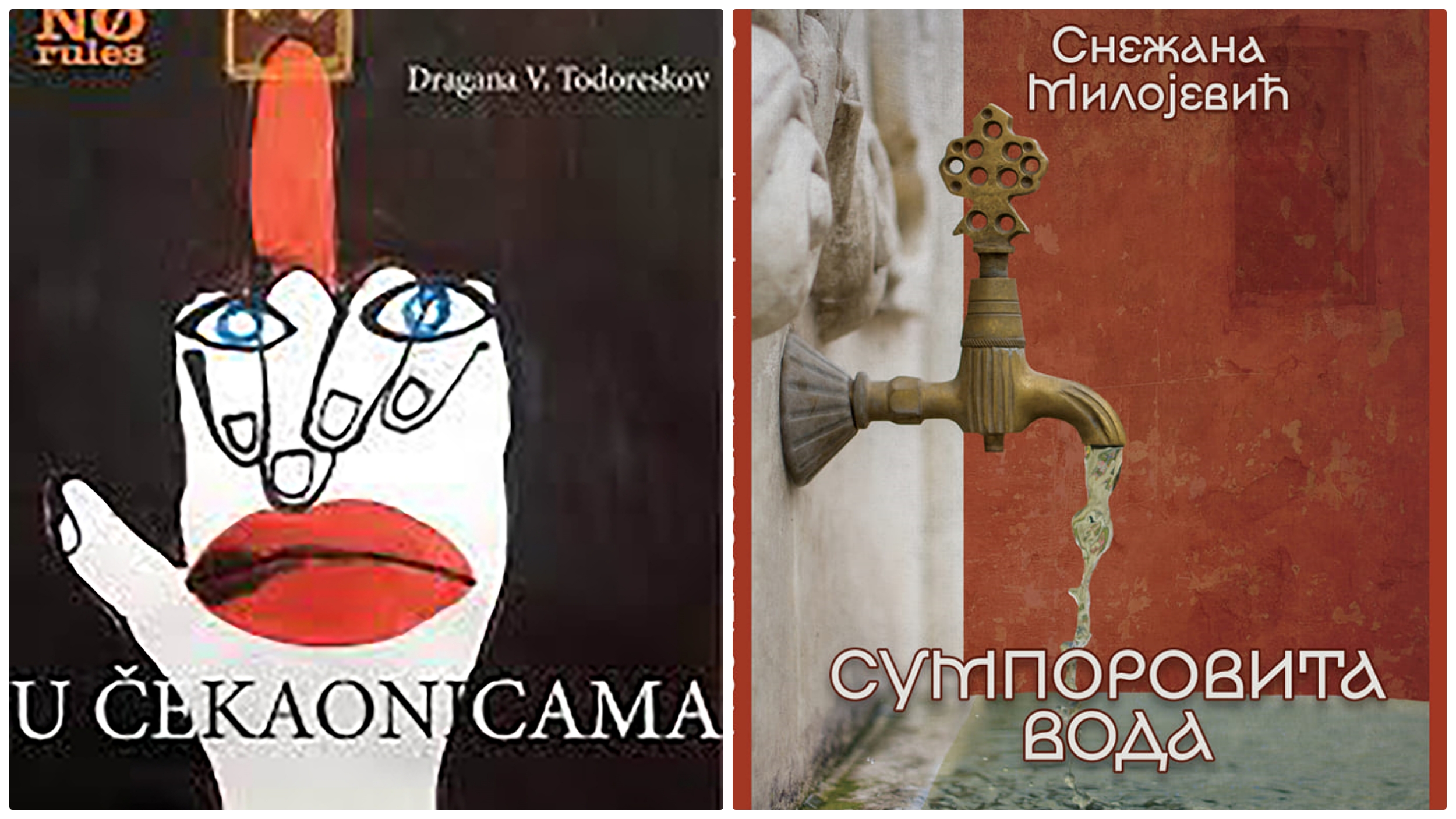 Dragana V. Todoreskov, "U čekaonicama" i  Snežana Milojević, "Sumporovita voda"