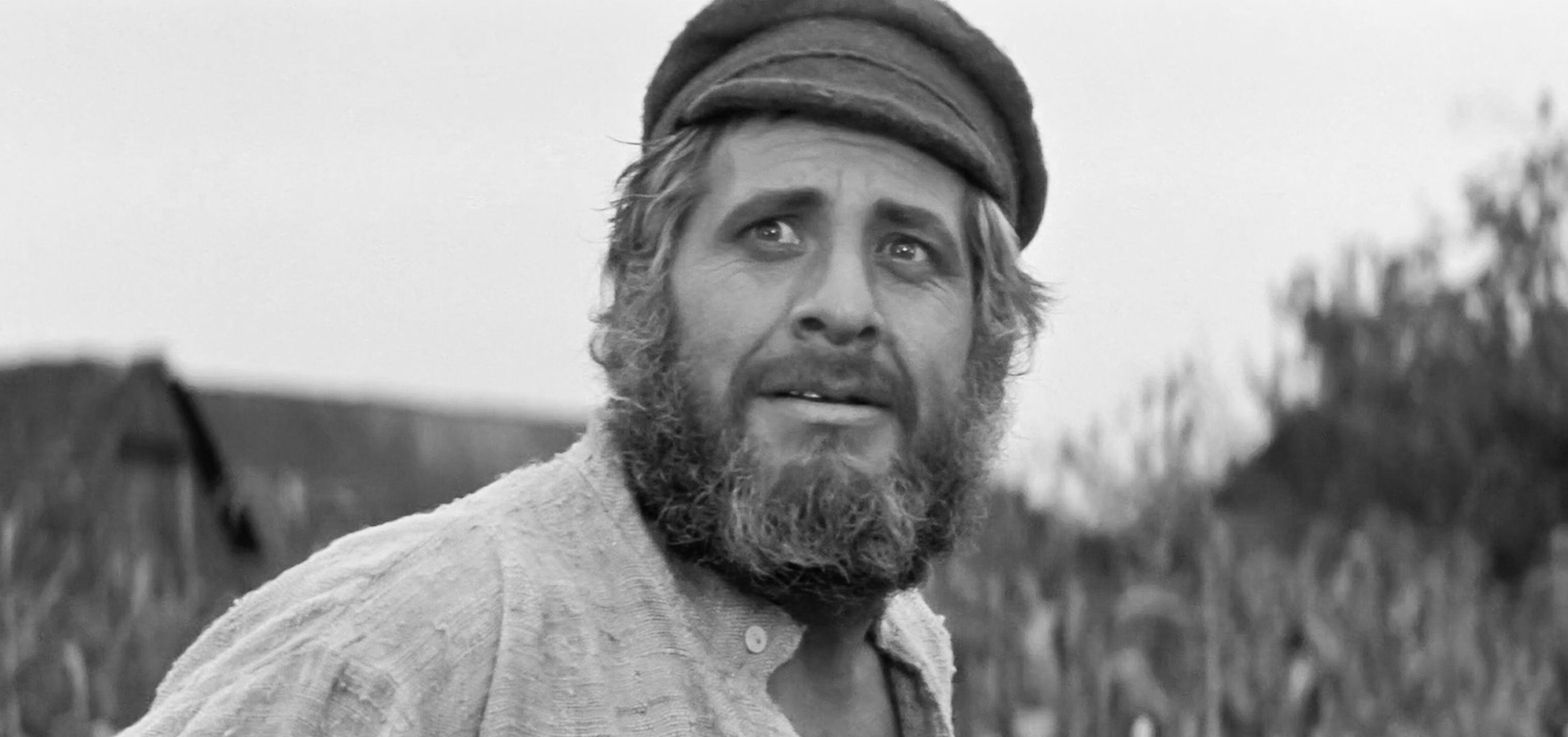 USA. Chaim Topol in a scene from ©United Artists film : Fiddler on the Roof (1971). Plot: In prerevolutionary Russia, a Jewish peasant contends with marrying off three of his daughters while growing anti-Semitic sentiment threatens his village. Ref: LM