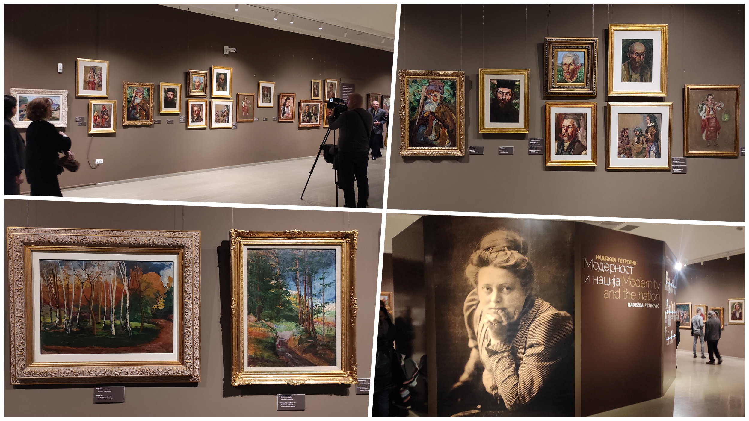 Nadežda Petrović modernost i nacija Narodni Muzej