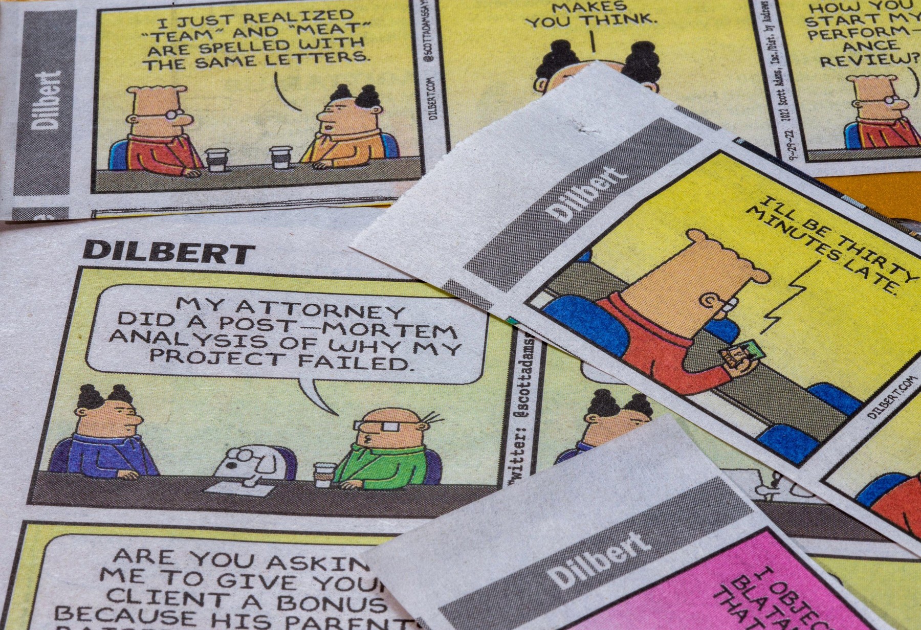 Image: 729185261, License: Rights-managed, Restrictions: , Model Release: no, Credit line: Patti McConville / Alamy / Alamy / Profimedia