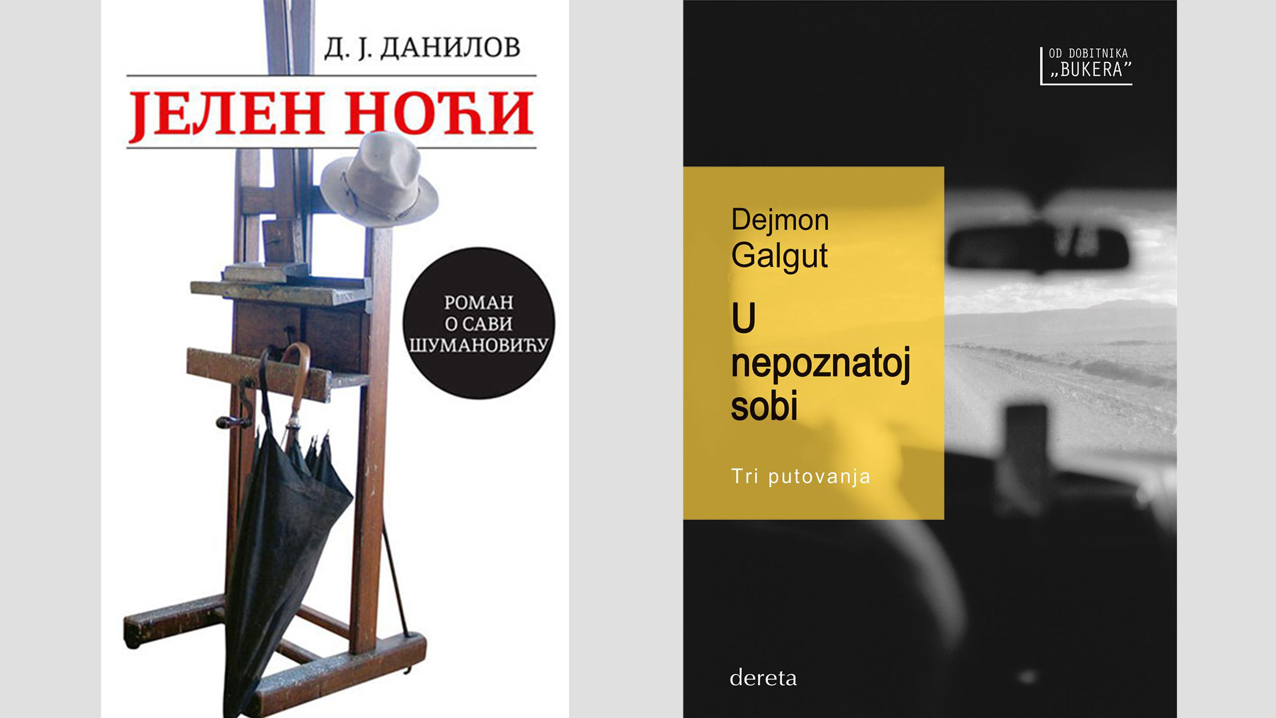 Sava Šumanović, Roman, Jelen noći, U nepoznatoj sobi