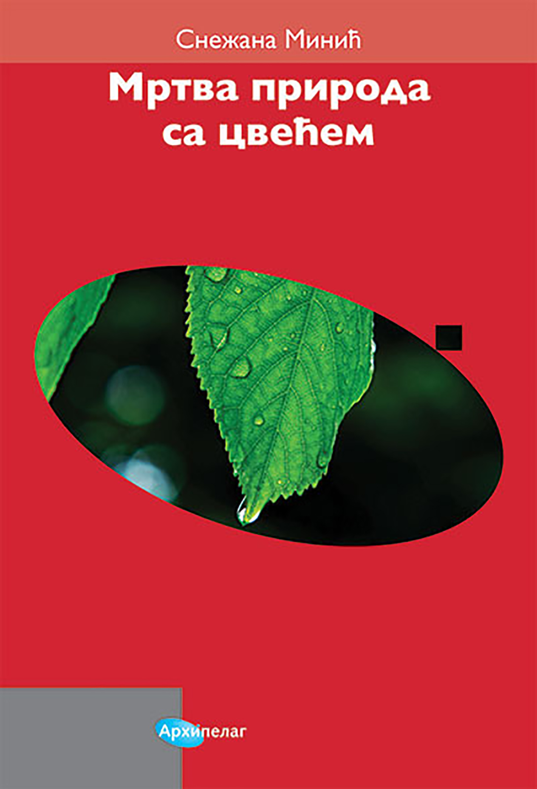 1673253199-mrtva_priroda_sa_cvecem_vv.jpg