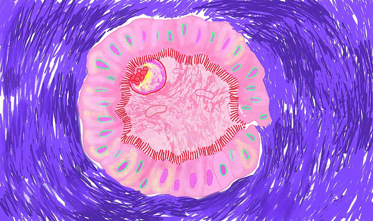 Izložba “S ONE STRANE NEVIDLJIVOG” Jelene Vučić u Galeriji DOB Foto: Galerija Doma omladine Beograd