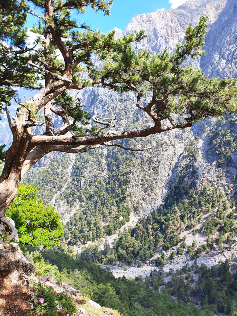 Nacionalni Park Samarija. Krit