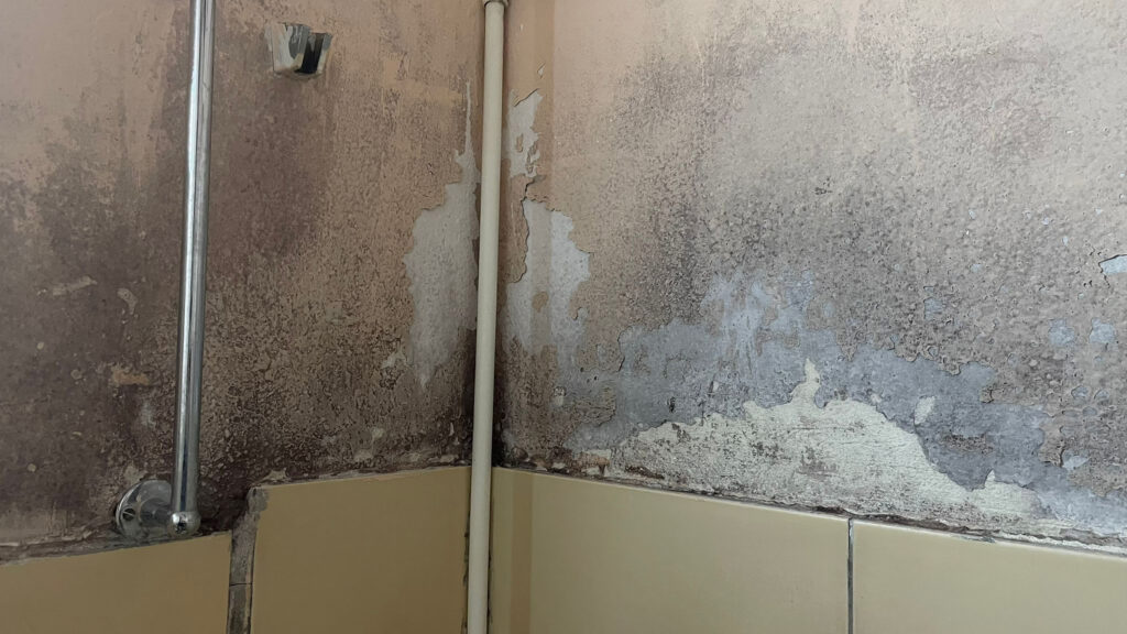 Studentski centar Bor