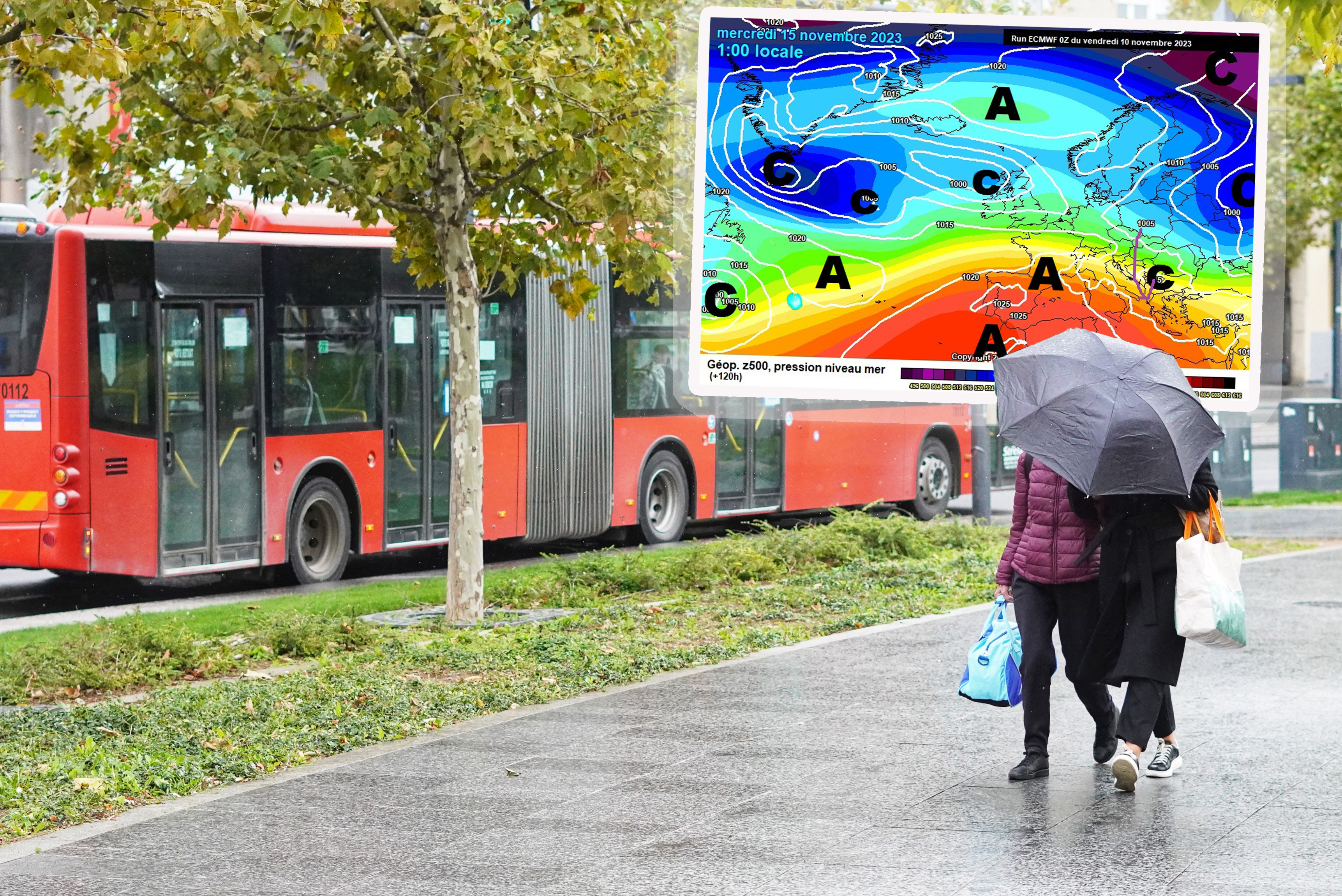 Tan2023-11-1012375563_4a