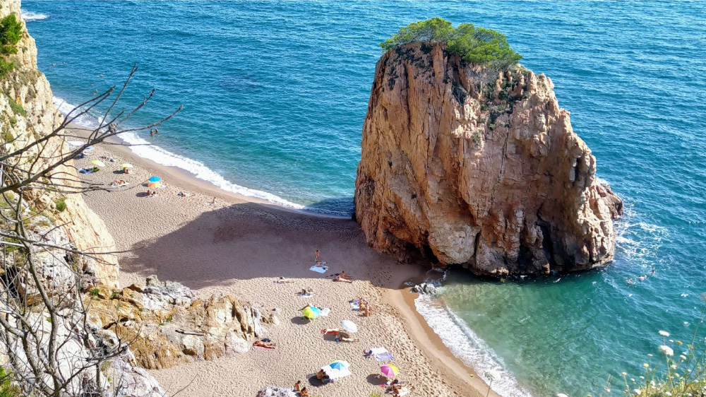 PR Wayout 1 Nova.rs 16.08. sa isticanjem na naslovnoj od 11h