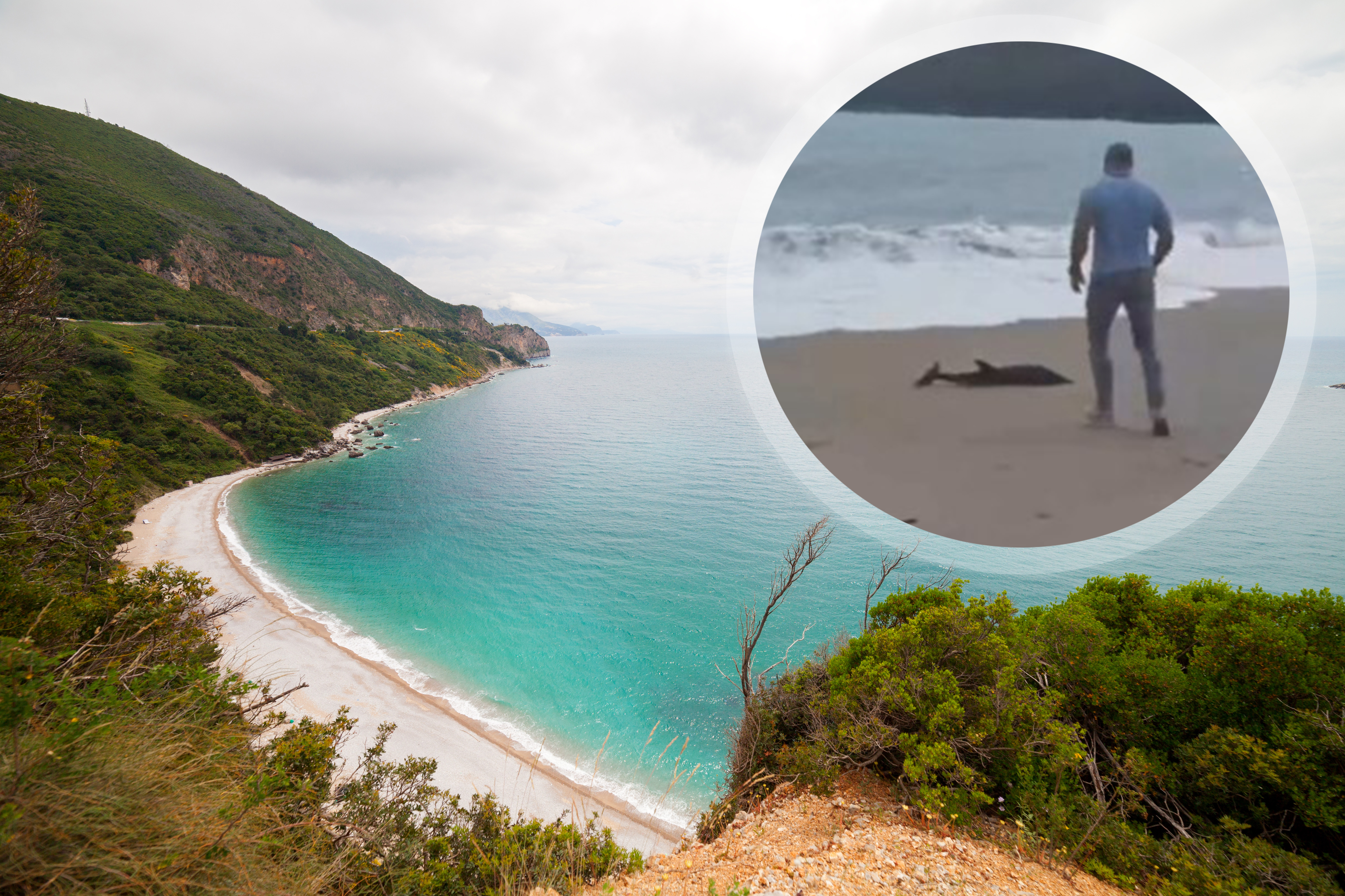 Panorama,Beautiful,Beach,Jaz,In,Montenegro,,Mediterranean.,Top,View