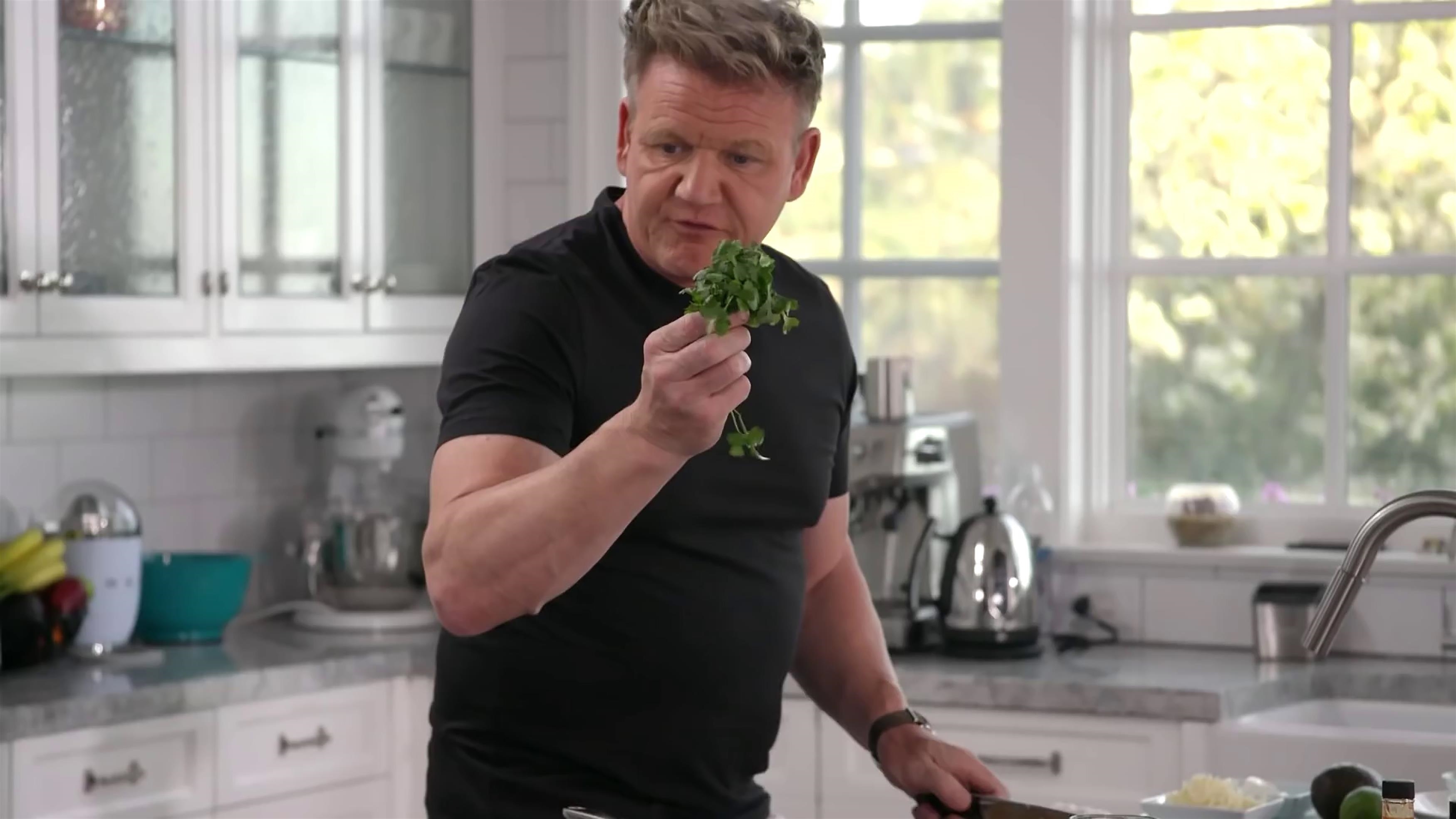 Steve-O Shocks Gordon Ramsay While Making A Southwestern Omelette