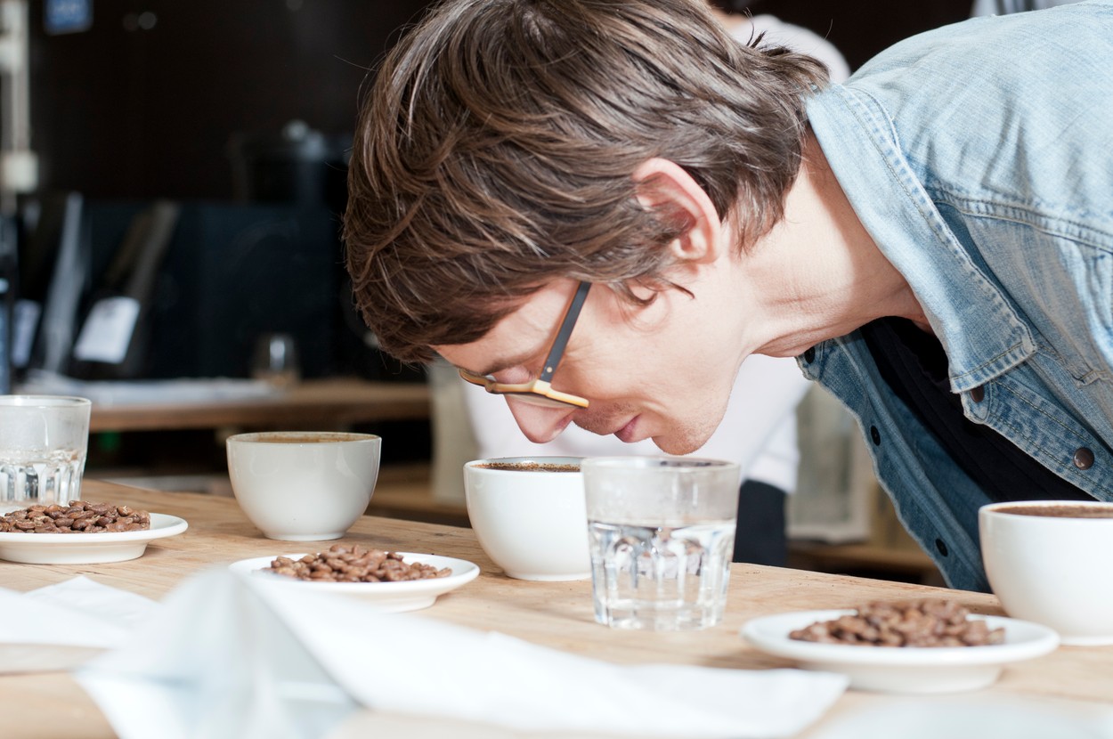 Coffee taster smelling cup of coffee