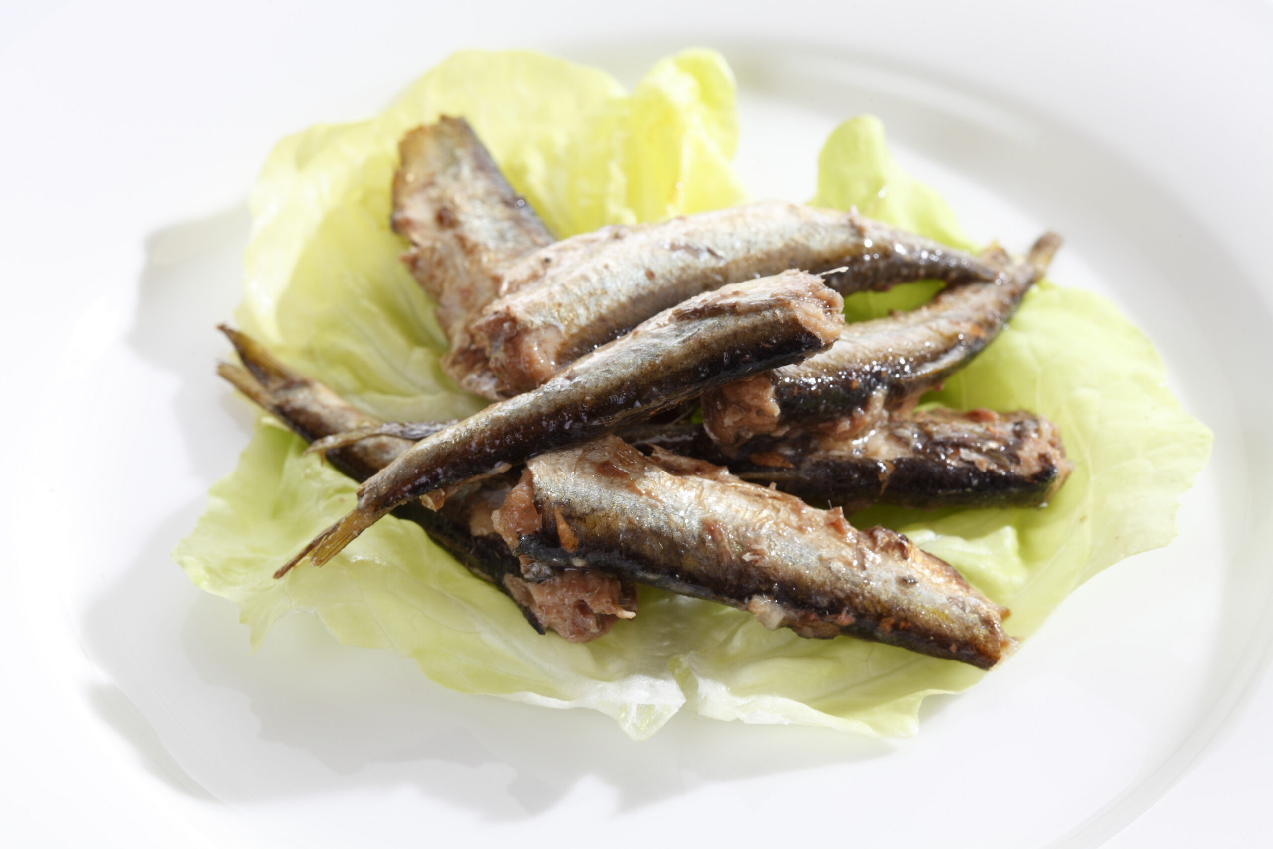 Russian sprats from the tin can on a plate,Image: 146379174, License: Rights-managed, Restrictions: , Model Release: no, Credit line: Creativ Studio Heinemann / imageBROKER / Profimedia
