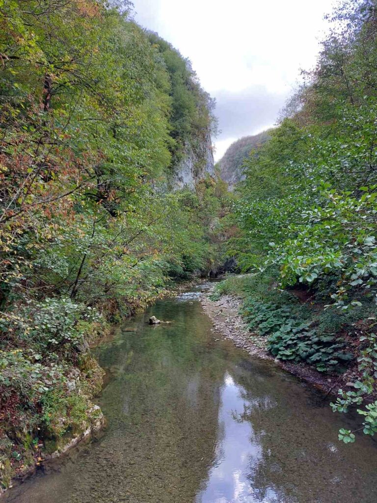 Arilje, Reka Rzav, Visočka banja, Foto: Milan Ćulibrk