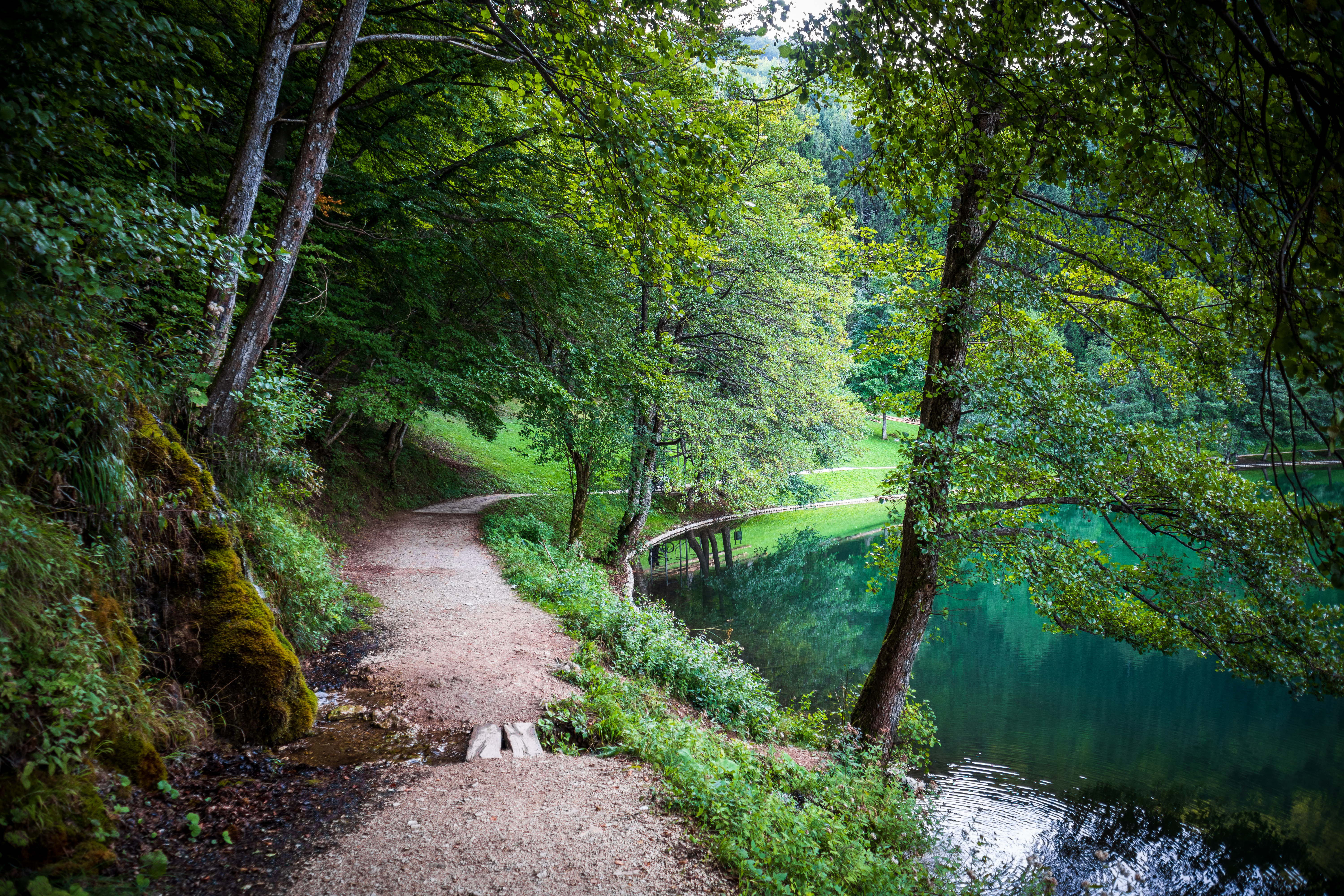 Footpath,Through,Forest,By,The,Balkana,Lake,In,Bosnia,And