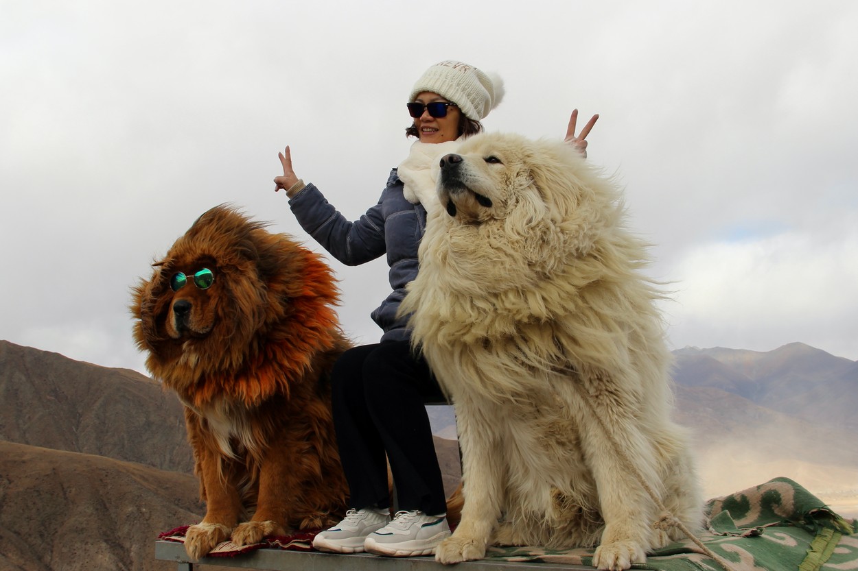 China Tibetan Monastery