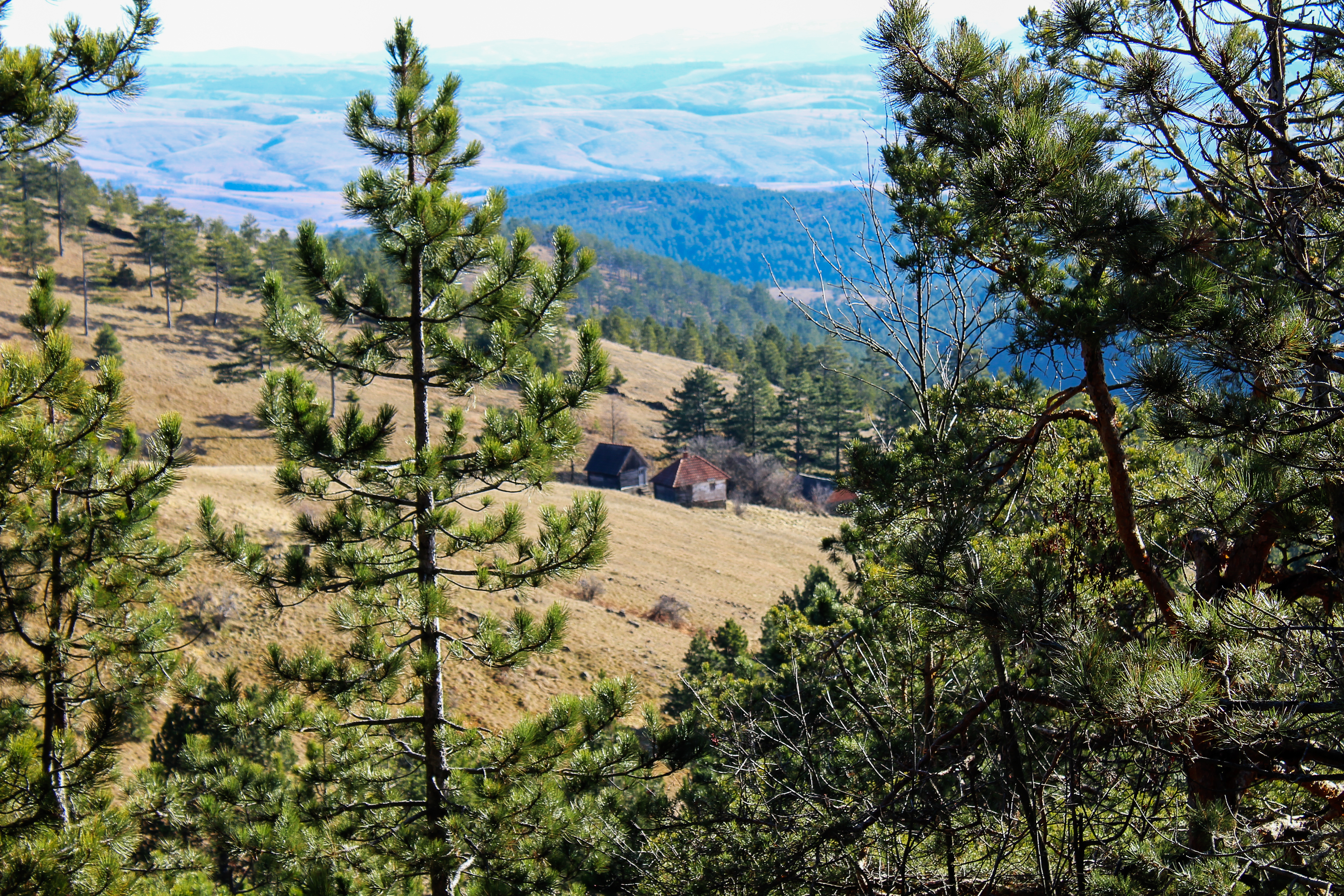 shutterstock_1711988080