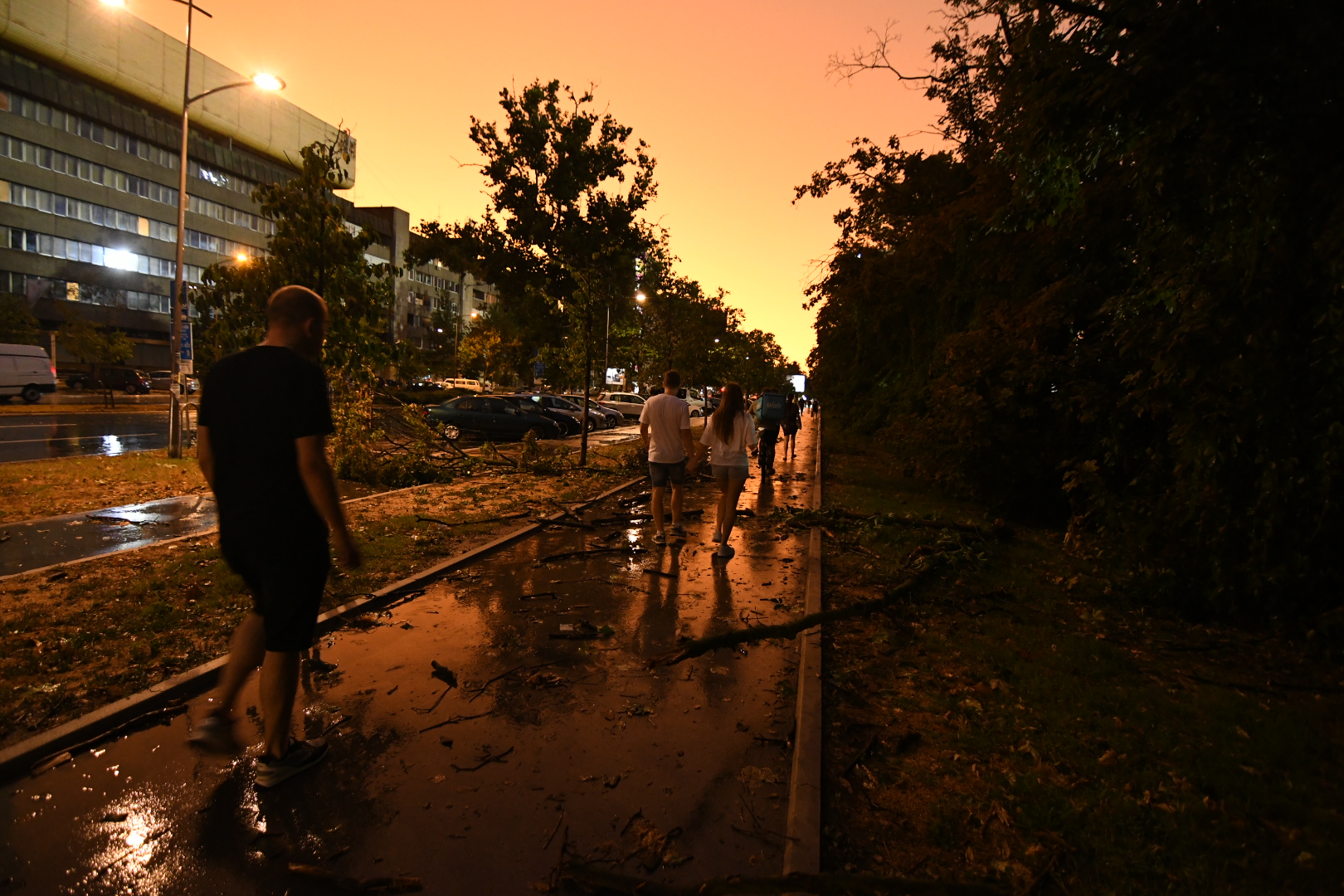 Novi Sad, 19.07.2023. Olujni oblaci, sprema se nevreme,oluja, posledice nevremena u novom Sadu,  polomljeno drveće Foto: Nenad Mihajlović/Nova.rs