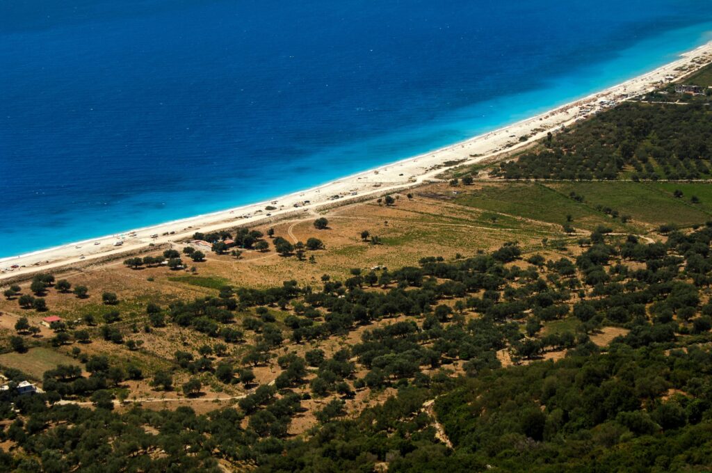 Republic of Albania. Olive grove next to Borsh beach.,Image: 138153873, License: Rights-managed, Restrictions: Rights to be cleared for artworks not in public domain. No model release., Model Release: no, Credit line: Album - Prisma / Album / Profimedia
