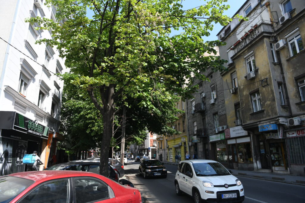 Beograd, 23.05.2023. Vračar, Hronika, pucnjava, maksima gorkog, novopazarska, sinoć pucnjava bila Foto: Vesna Lalić/Nova.rs