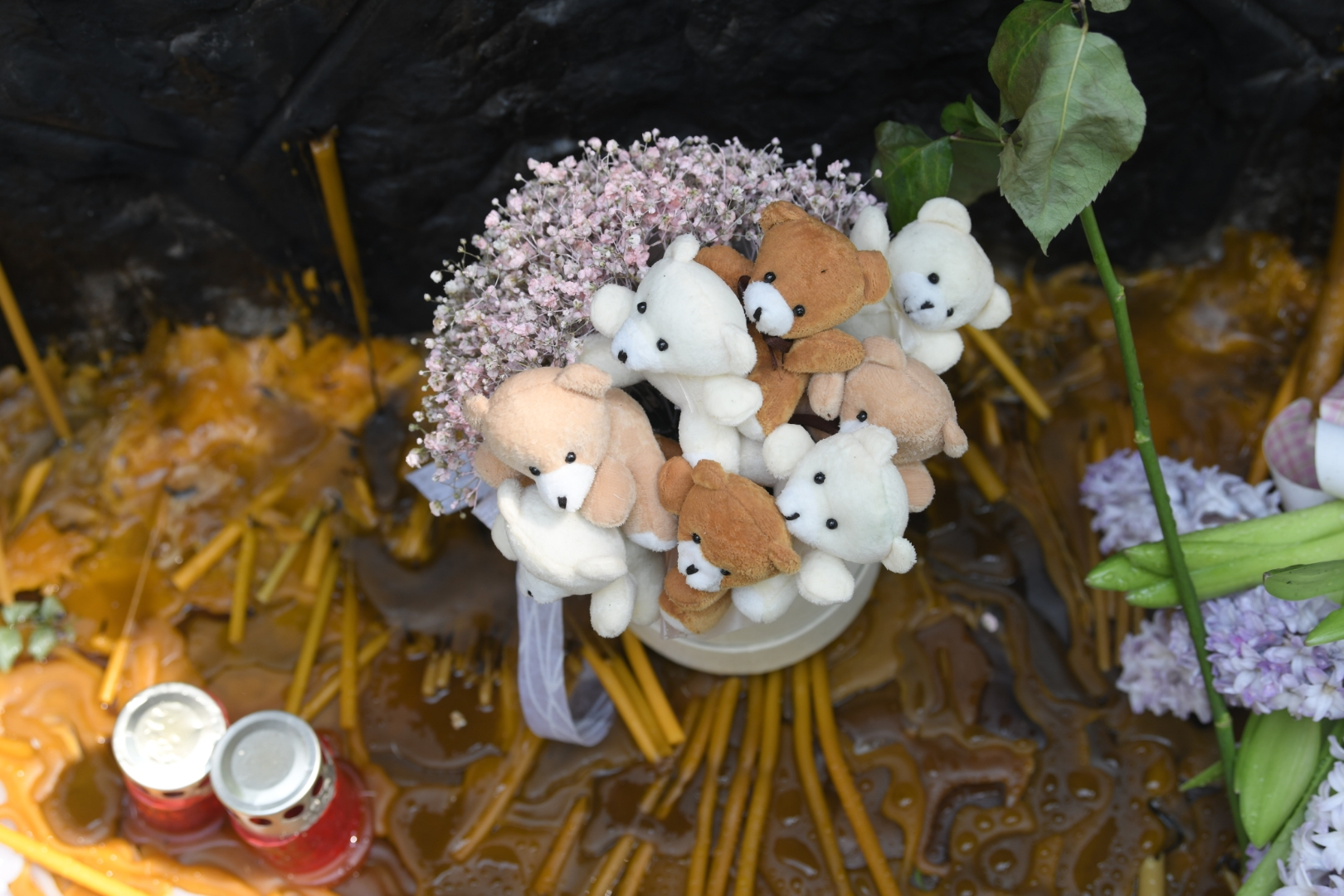 beograd 08.05.2023 osnovna skola vladislav ribnikar