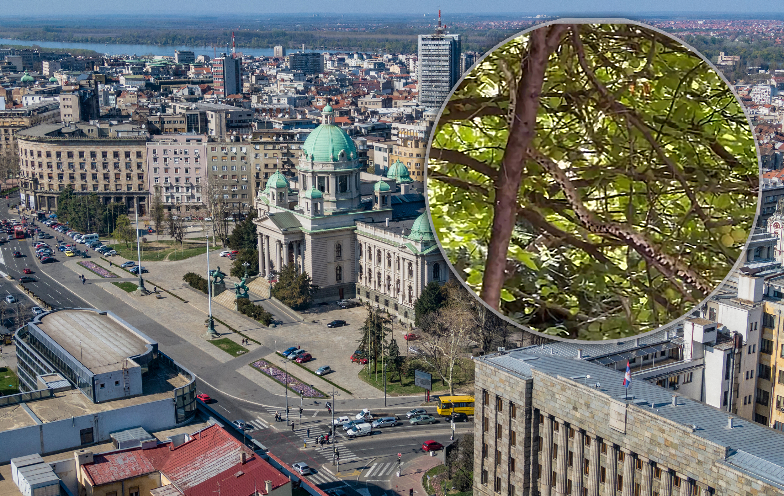 Parliament,Building,Of,Serbia,,Belgrade,,Serbia