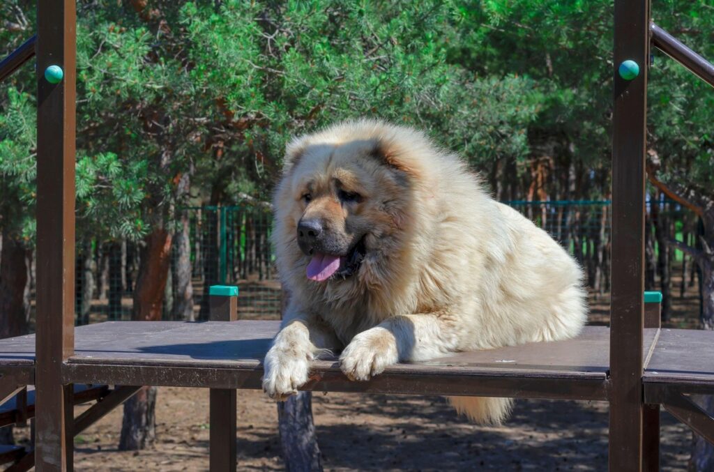 Image: 526512278, License: Royalty-free, Restrictions: , Model Release: no, Credit line: Mikhail Dmitriev / Alamy / Alamy / Profimedia