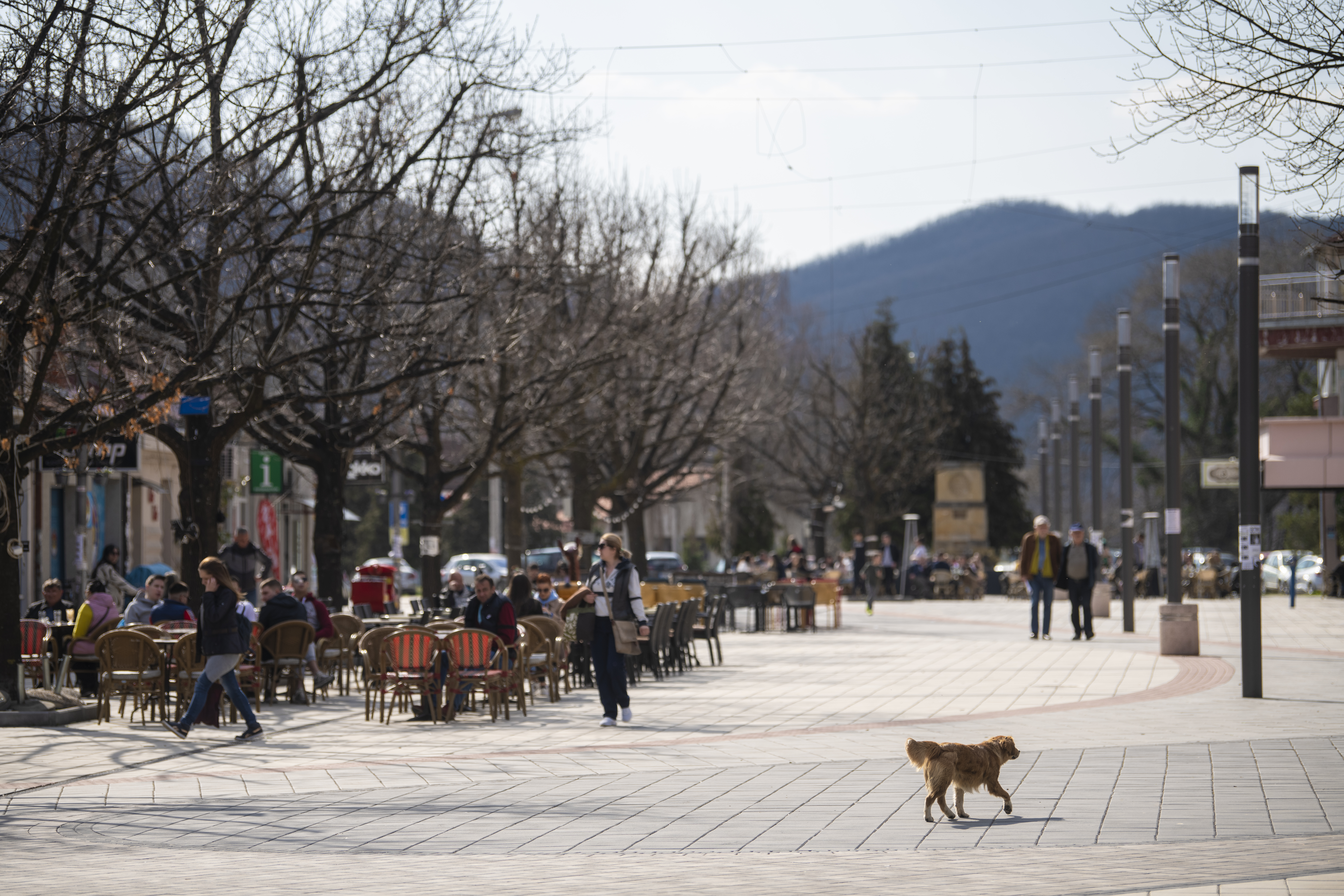 Trstenik 28.03.2022. Trstenik, grad, panorama