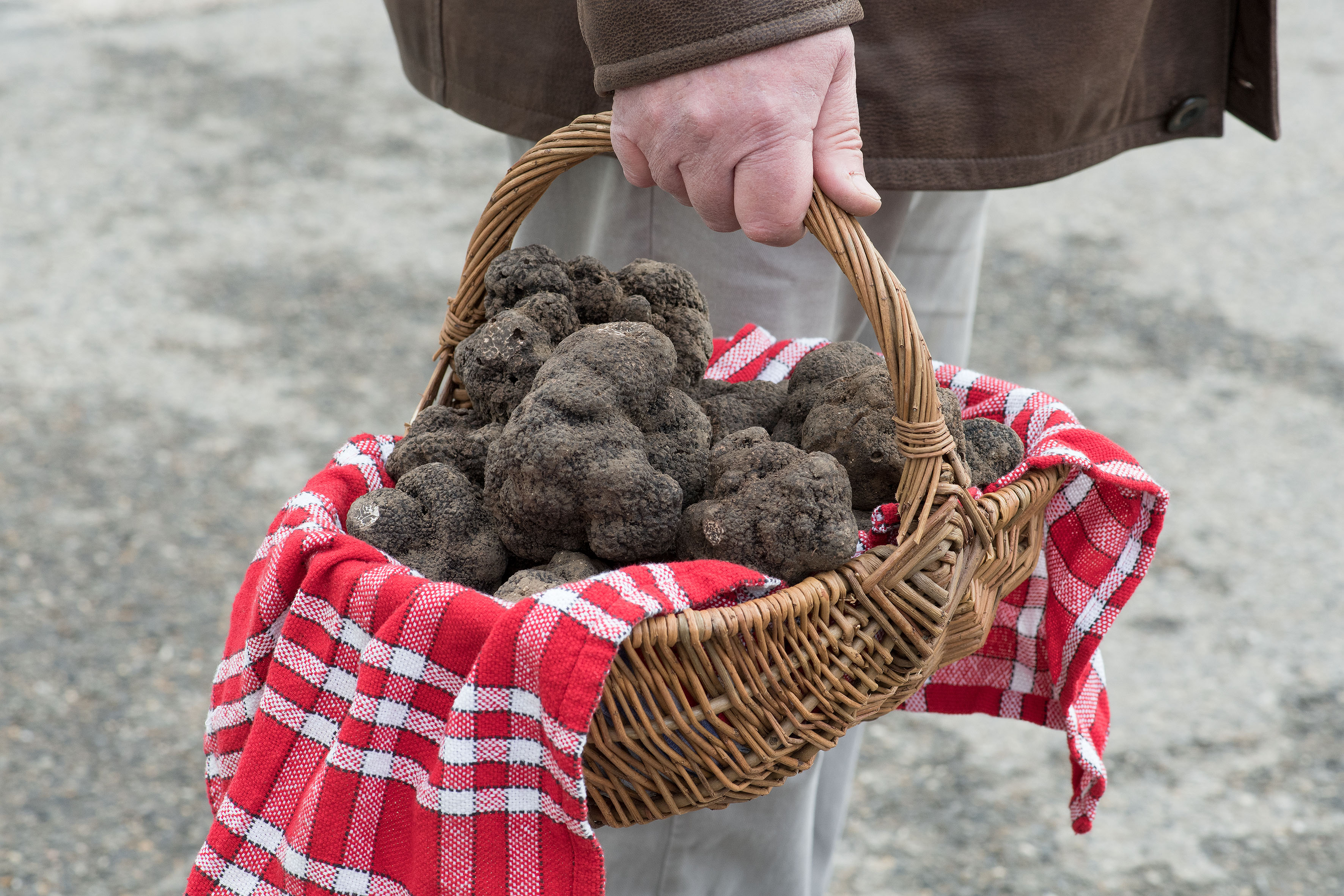 Truffels market in Lalbenque tartufi