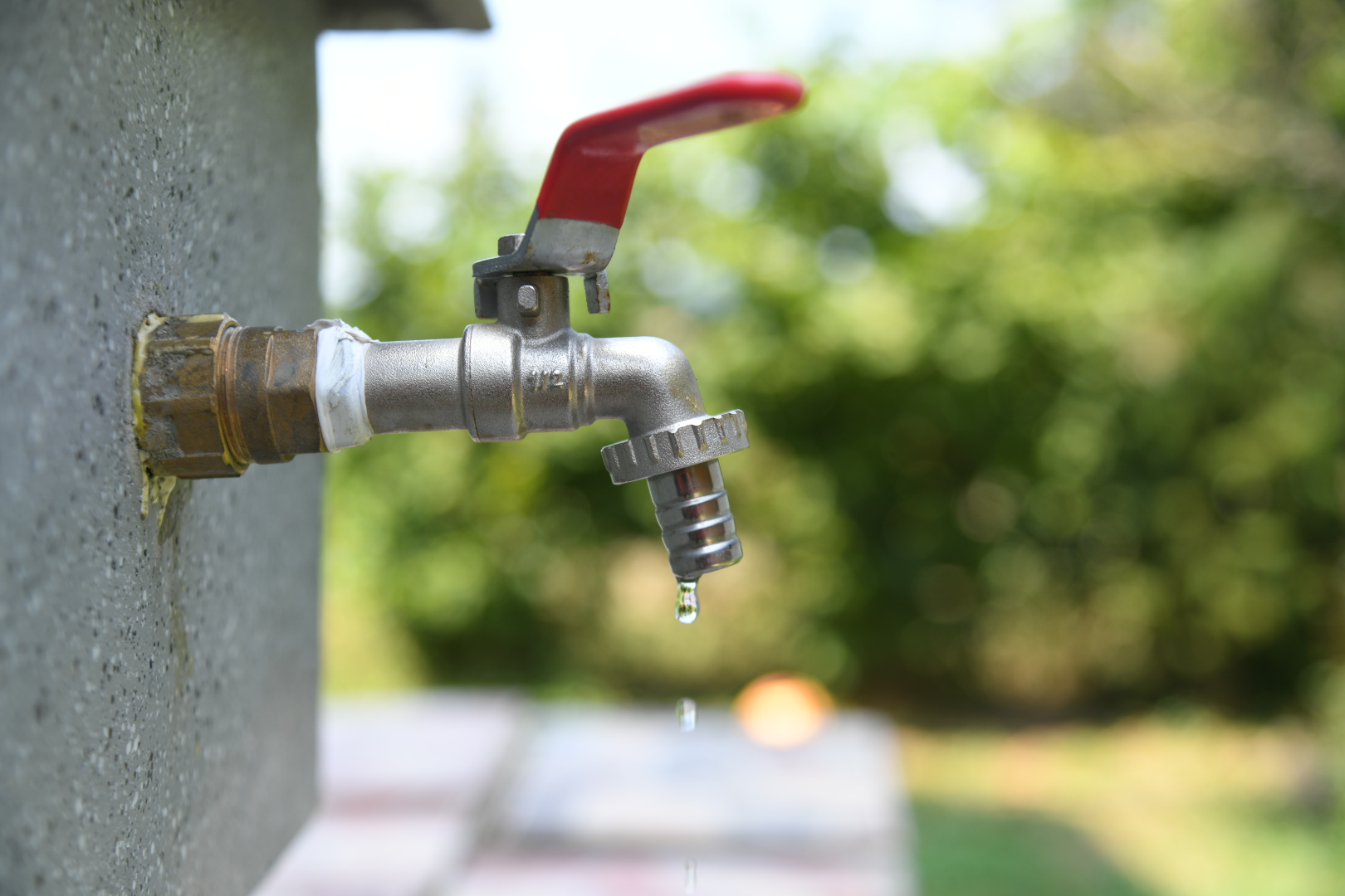 vrcin Foto- nemanja jovanovic (12)