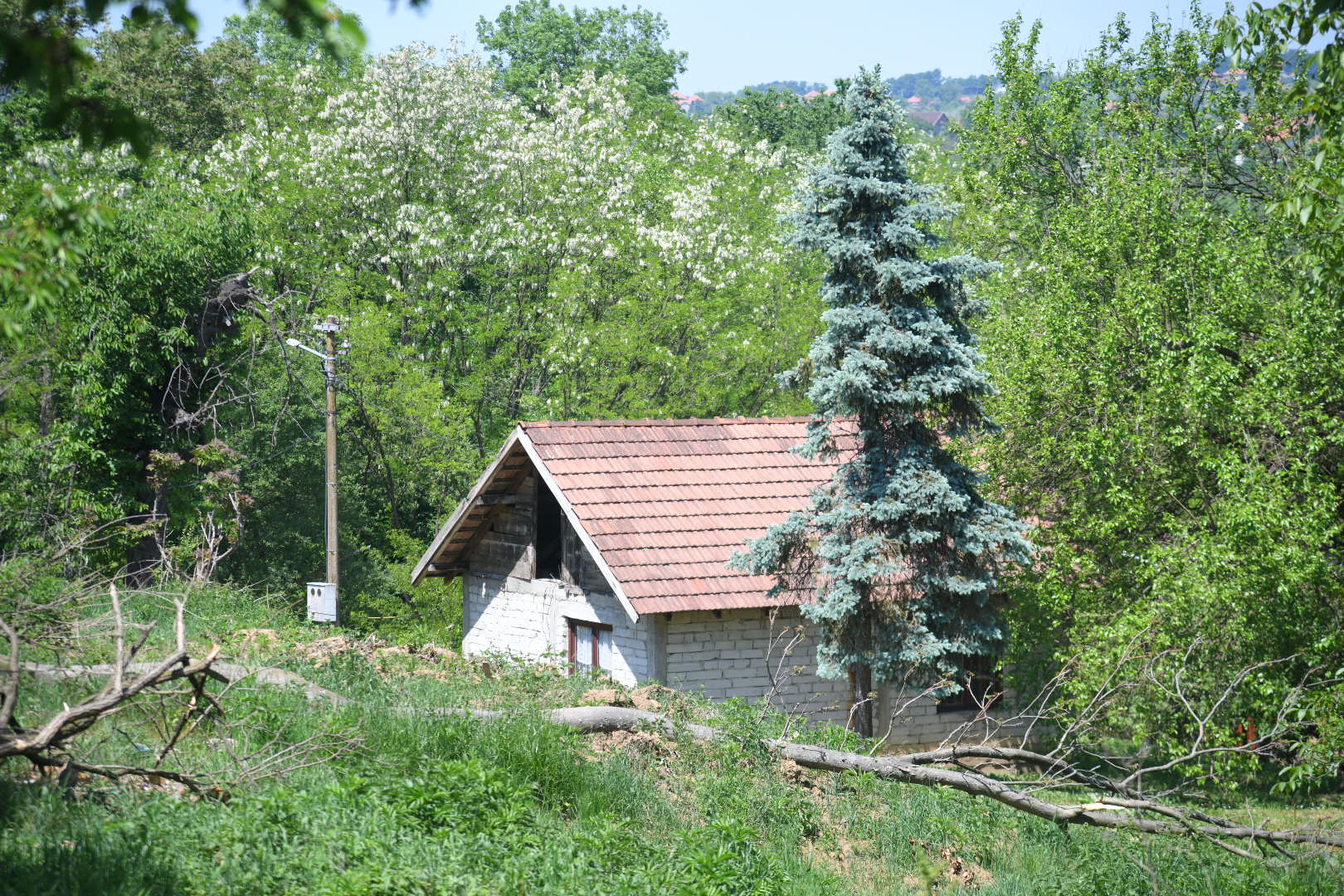 barajevo 13.05.2022 selo rožaci suprug prerezao zeni vrat, ubistvo, hronika kuca ubice
