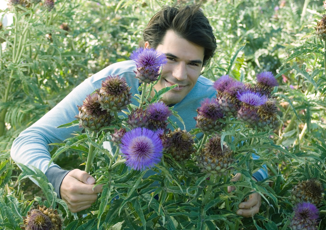 Man smiling, behind thistle flowers,Image: 69804330, License: Royalty-free, Restrictions: , Model Release: yes, Credit line: Michele Constantini / PhotoAlto / Profimedia