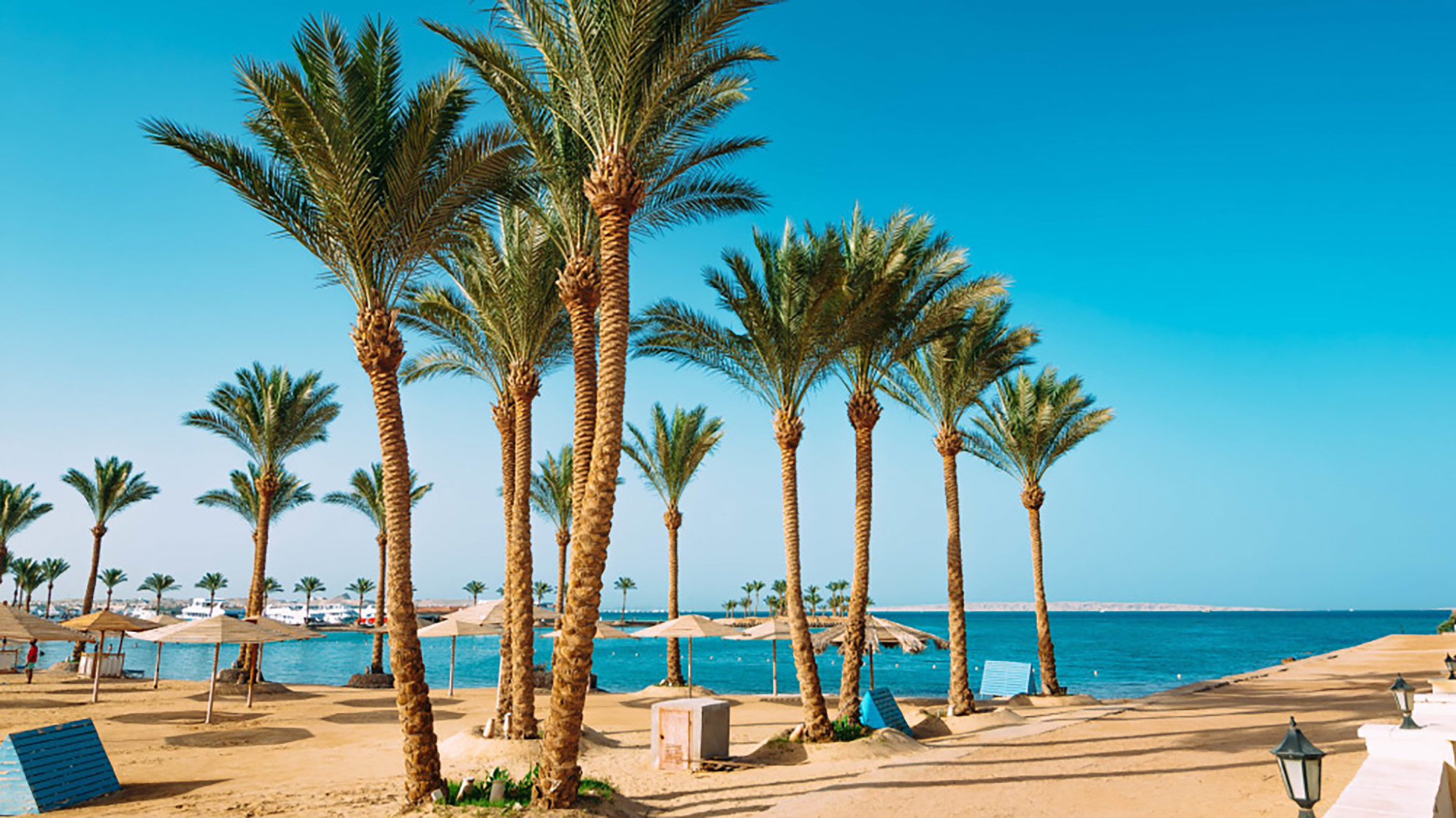 PR Wayout PR Nova.rs 08.07. sa isticanjem na naslovnoj strani od 8h ujutru