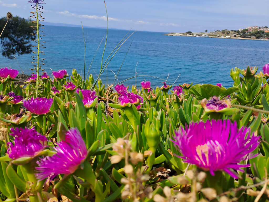 Halkidiki na prolece, poslao Nenad Bozovic