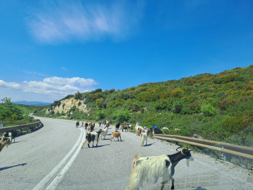 Halkidiki na prolece, poslao Nenad Bozovic