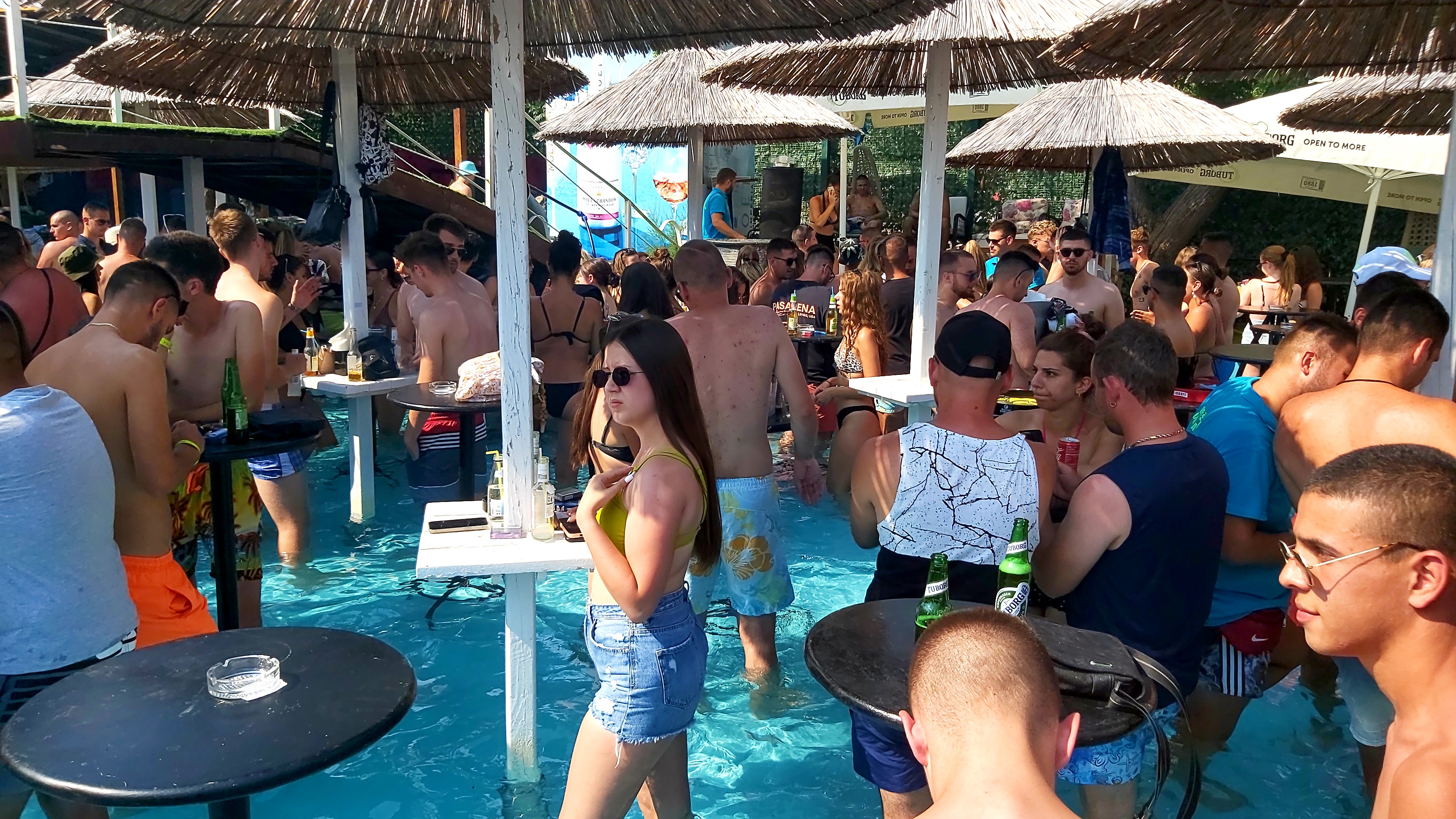 Budva, žurke, plaža, plaže Foto: Nova.rs