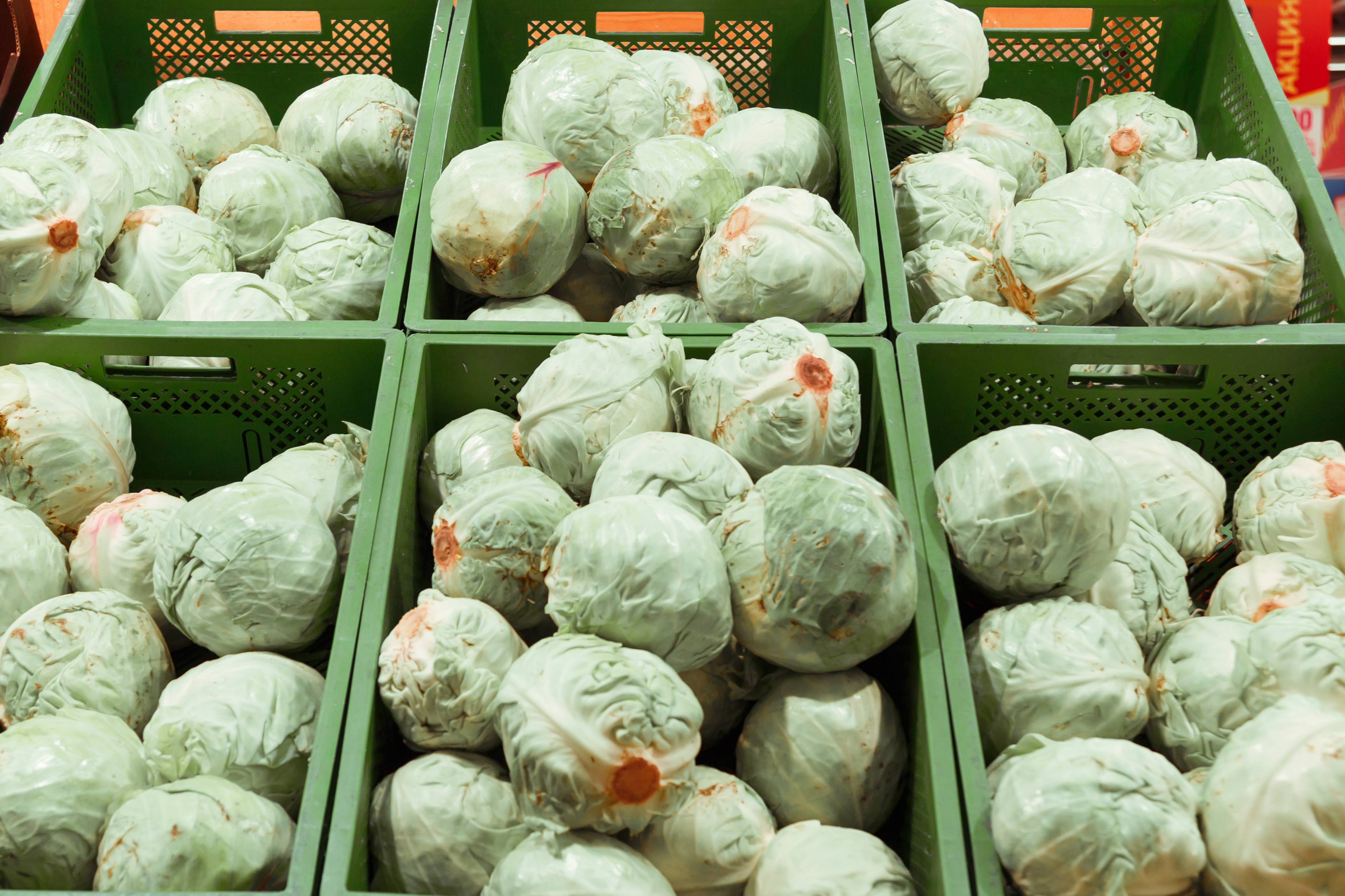 Boxes of fresh cabbages in a supermarket. Healthy eating,Image: 571141847, License: Royalty-free, Restrictions: , Model Release: no, Credit line: Uladzislau Salikau / Panthermedia / Profimedia