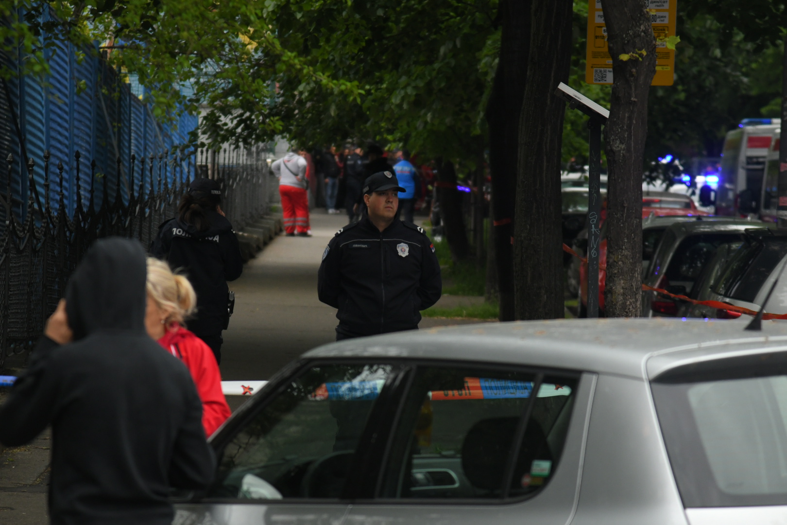 Pucnjava, osnovna škola " Vladislav Ribnikar"