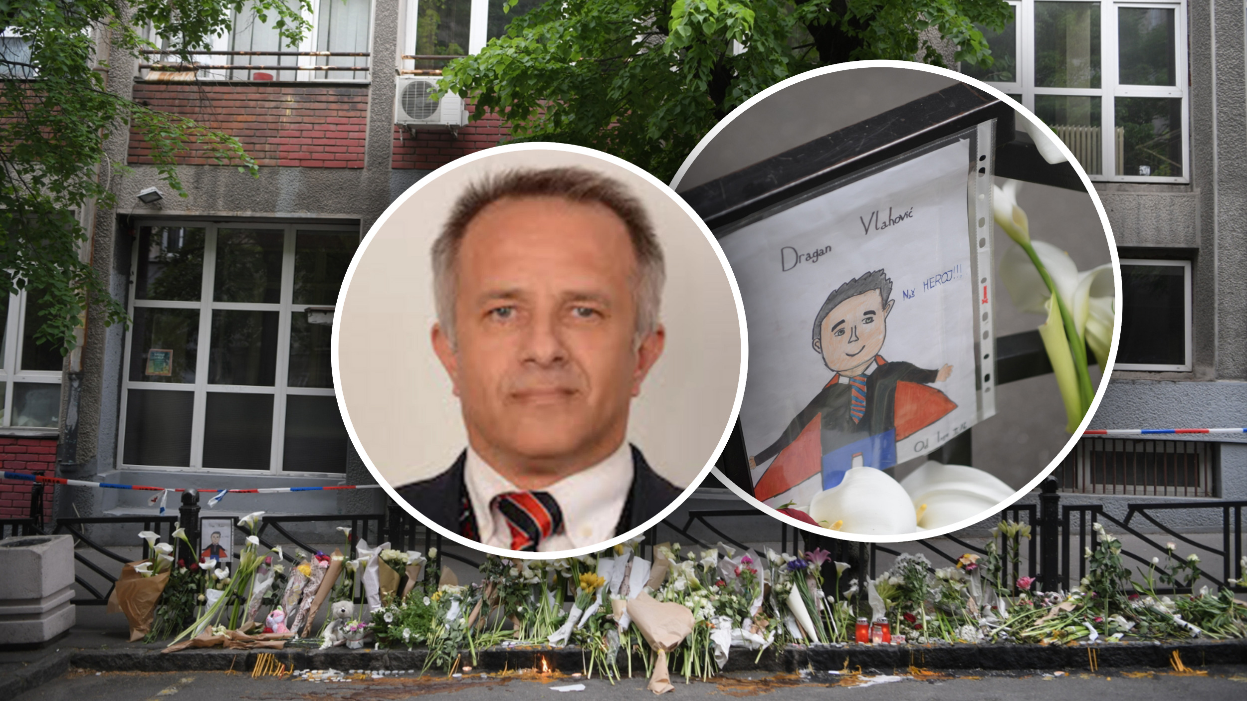 Dragan Vlahović, Čuvar,Škola Ribnikar