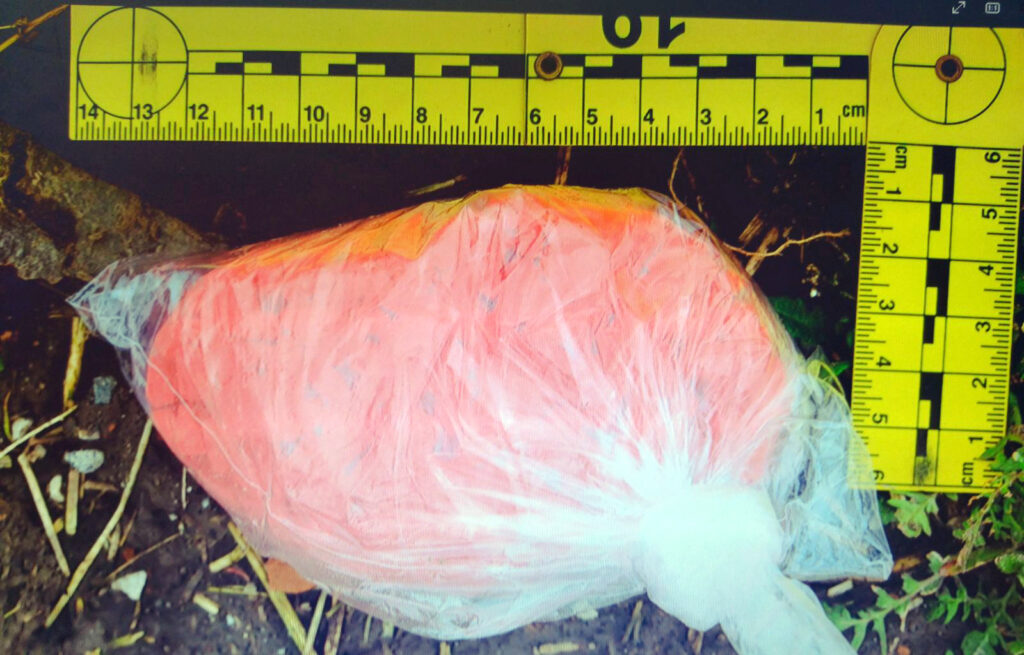 ekstazi zaplena hapsenje osumnjicenih