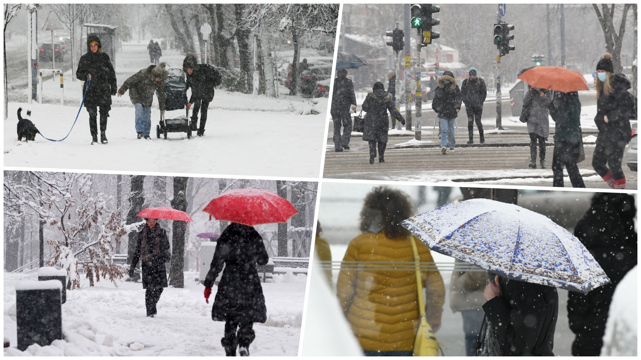 Foto: Goran Srdanov/Nova.rs
Sneg u Beogradu Foto:Vesna Lalić/Nova.rs
Sneg u Beogradu Foto:Dimitrije Mitić/Nova.rs