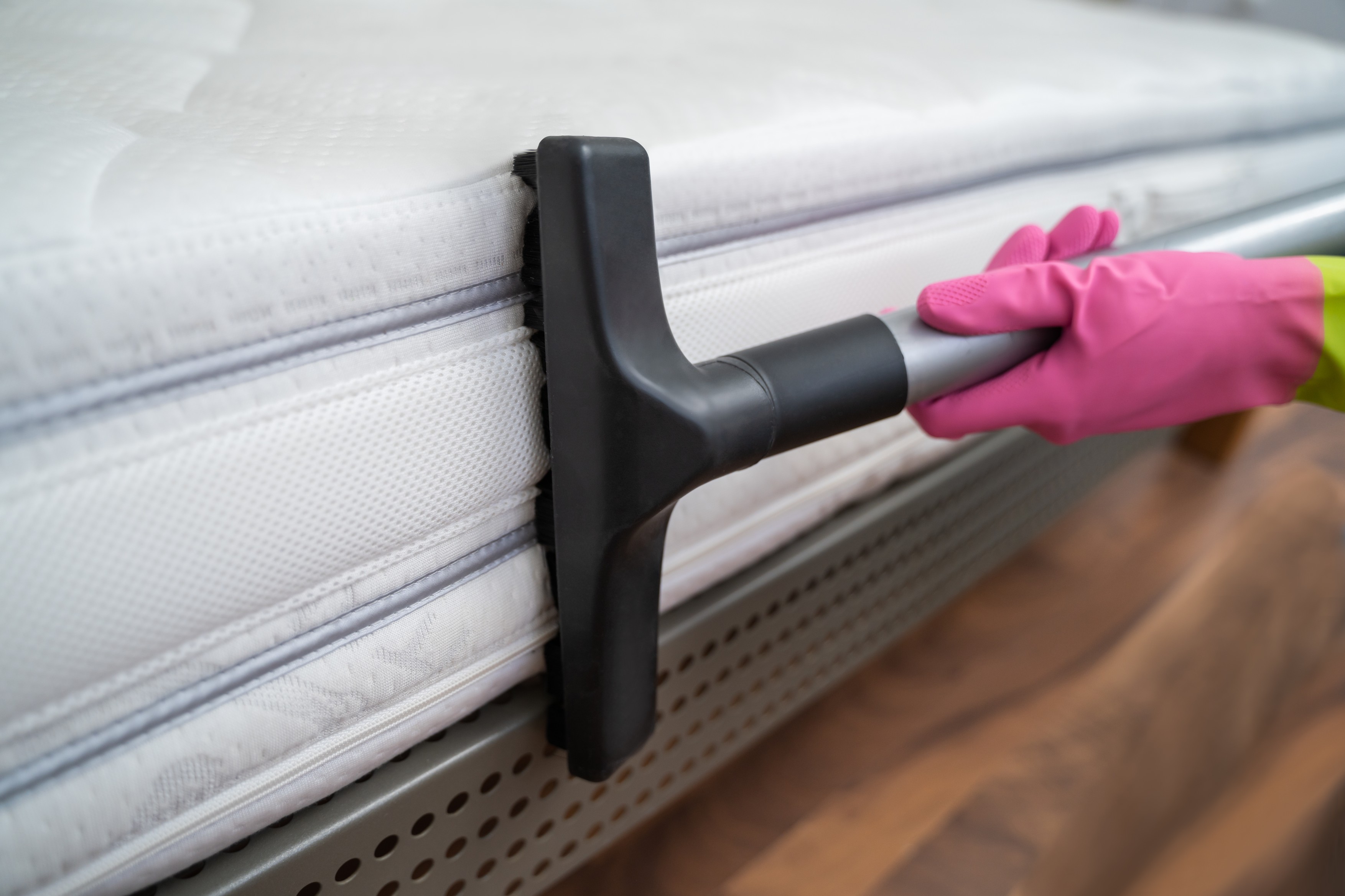 Mattress Cleaning Professional Service Using Vacuum Cleaner,Image: 540200017, License: Royalty-free, Restrictions: , Model Release: no, Credit line: Andriy Popov / Panthermedia / Profimedia